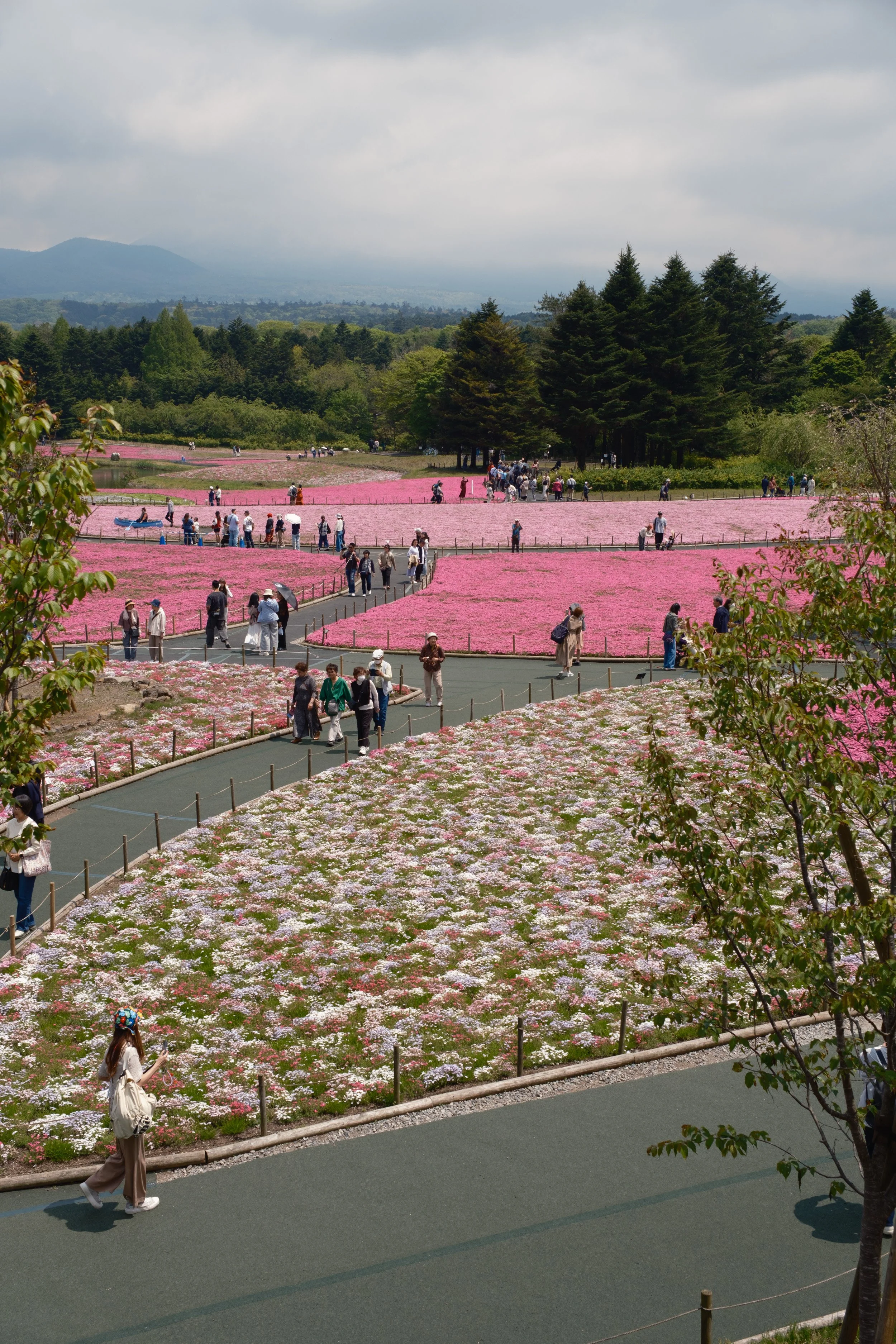 Fotograf_Lili_Zaneta_Japan-67.jpg