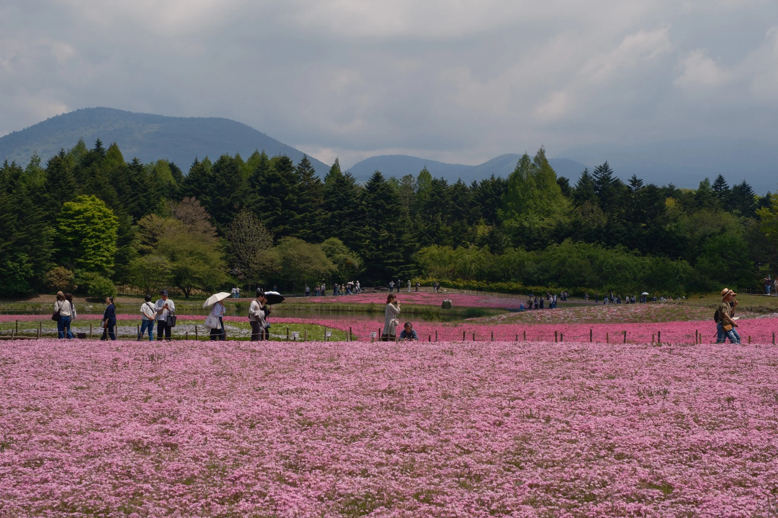 Fotograf_Lili_Zaneta_Japan-66.jpg