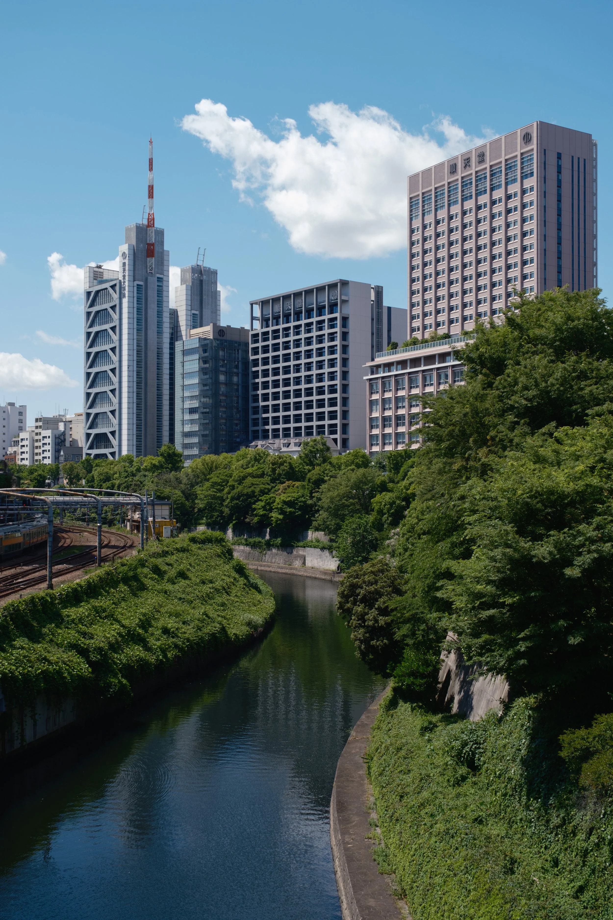 Fotograf_Lili_Zaneta_Japan-56.jpg