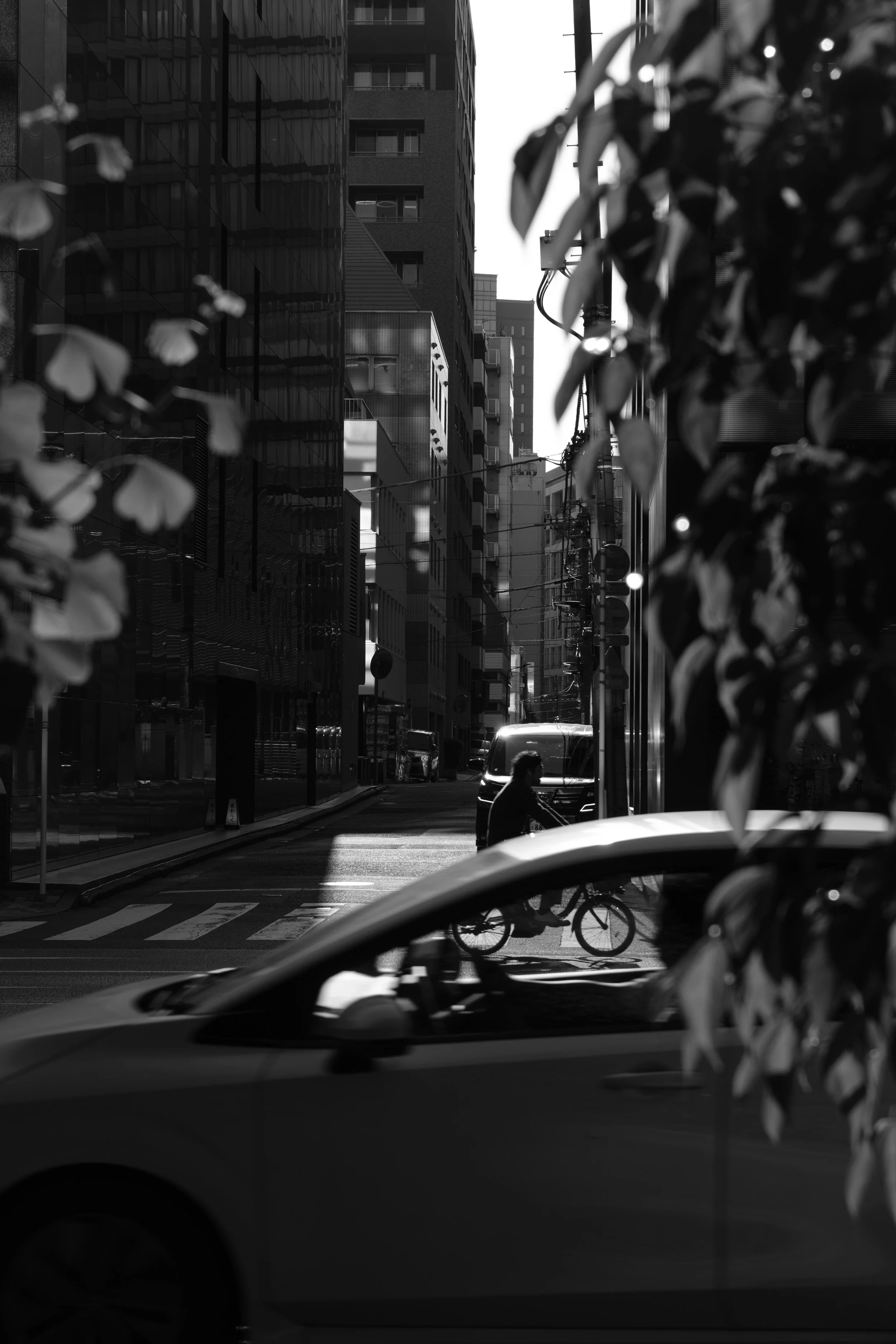 Fotograf_Lili_Zaneta_Japan-15.jpg