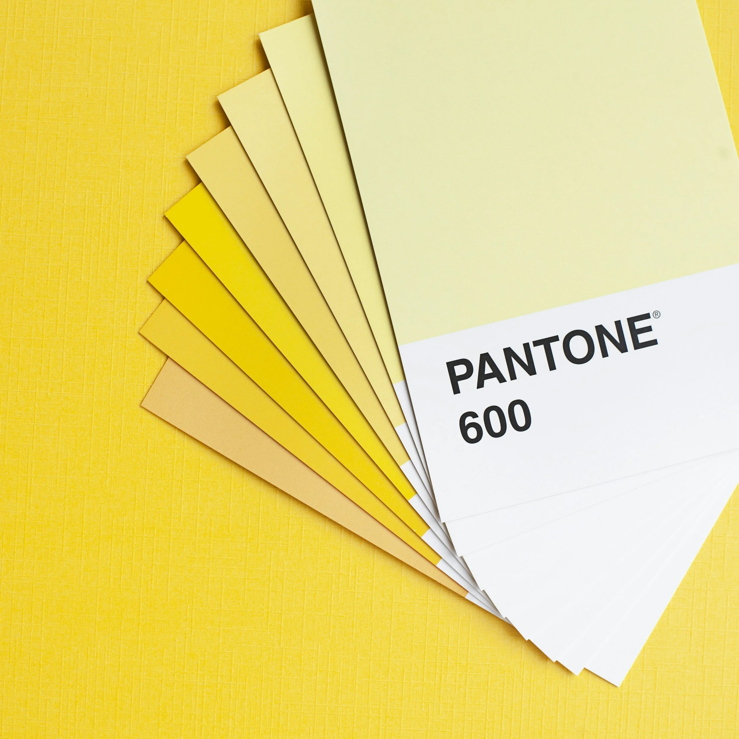 Farbmusterkarten in Gelb- und Beigetönen auf gelbem Hintergrund, mit Pantone-Branding.