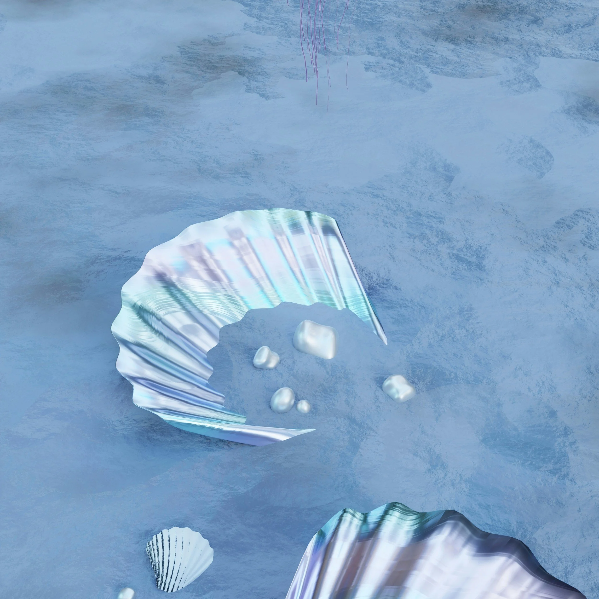 Meeresperlen und Muscheln