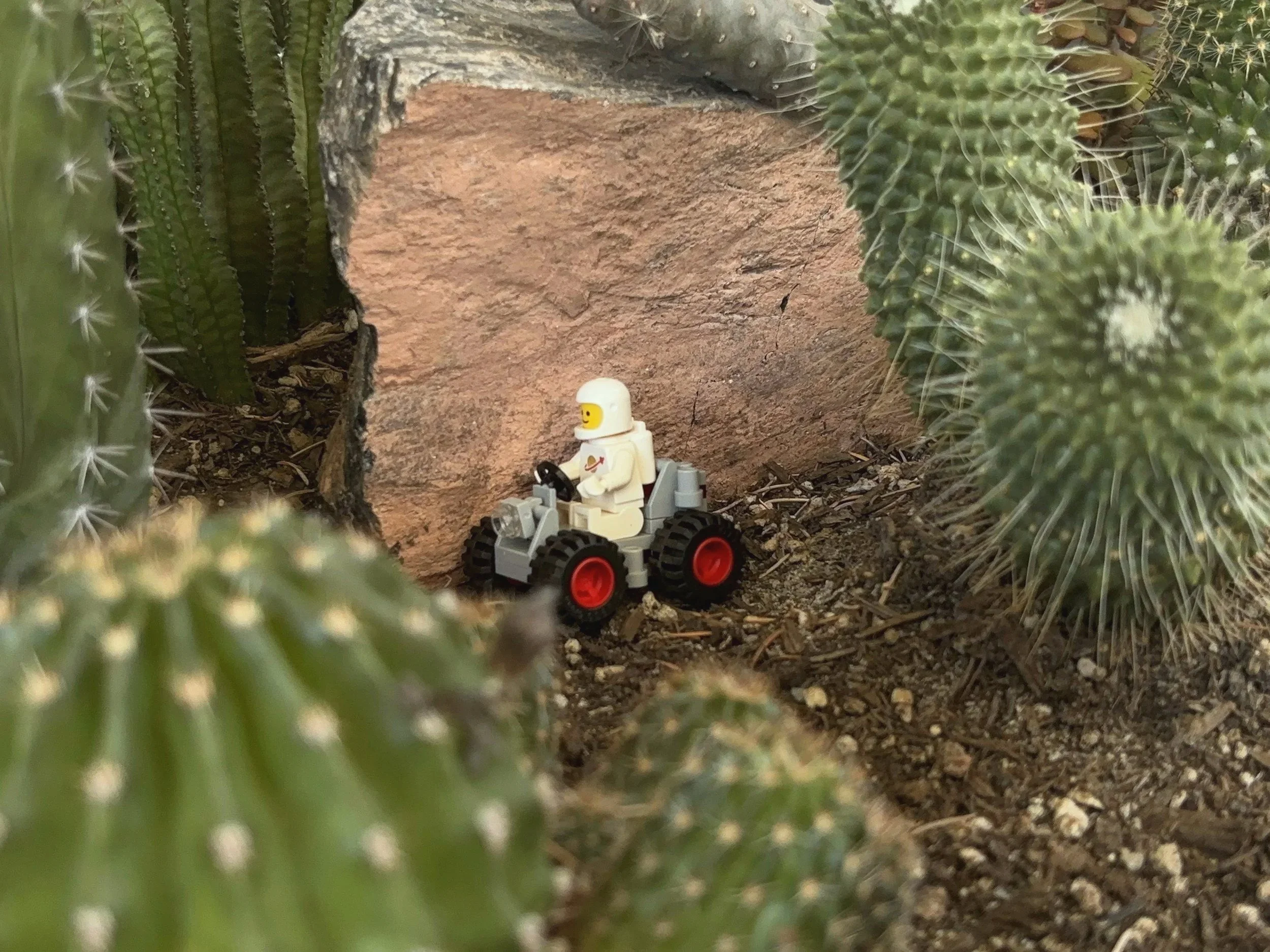 Ein LEGO-Astronaut sitzt auf einem kleinen Lego-Traktor in einem Garten mit Kakteen.