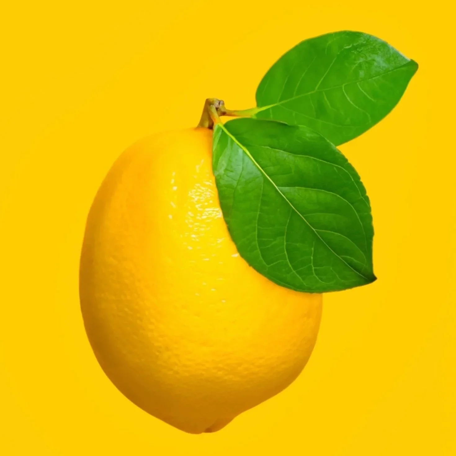 Gelbe Zitrone mit zwei grünen Blättern gegen gelben Hintergrund.