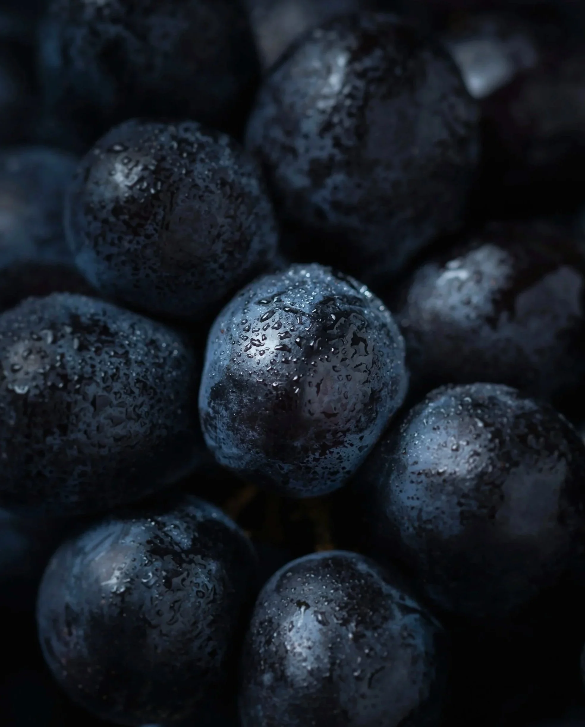 Nahaufnahme von schwarzen Trauben mit Wassertröpfchen.