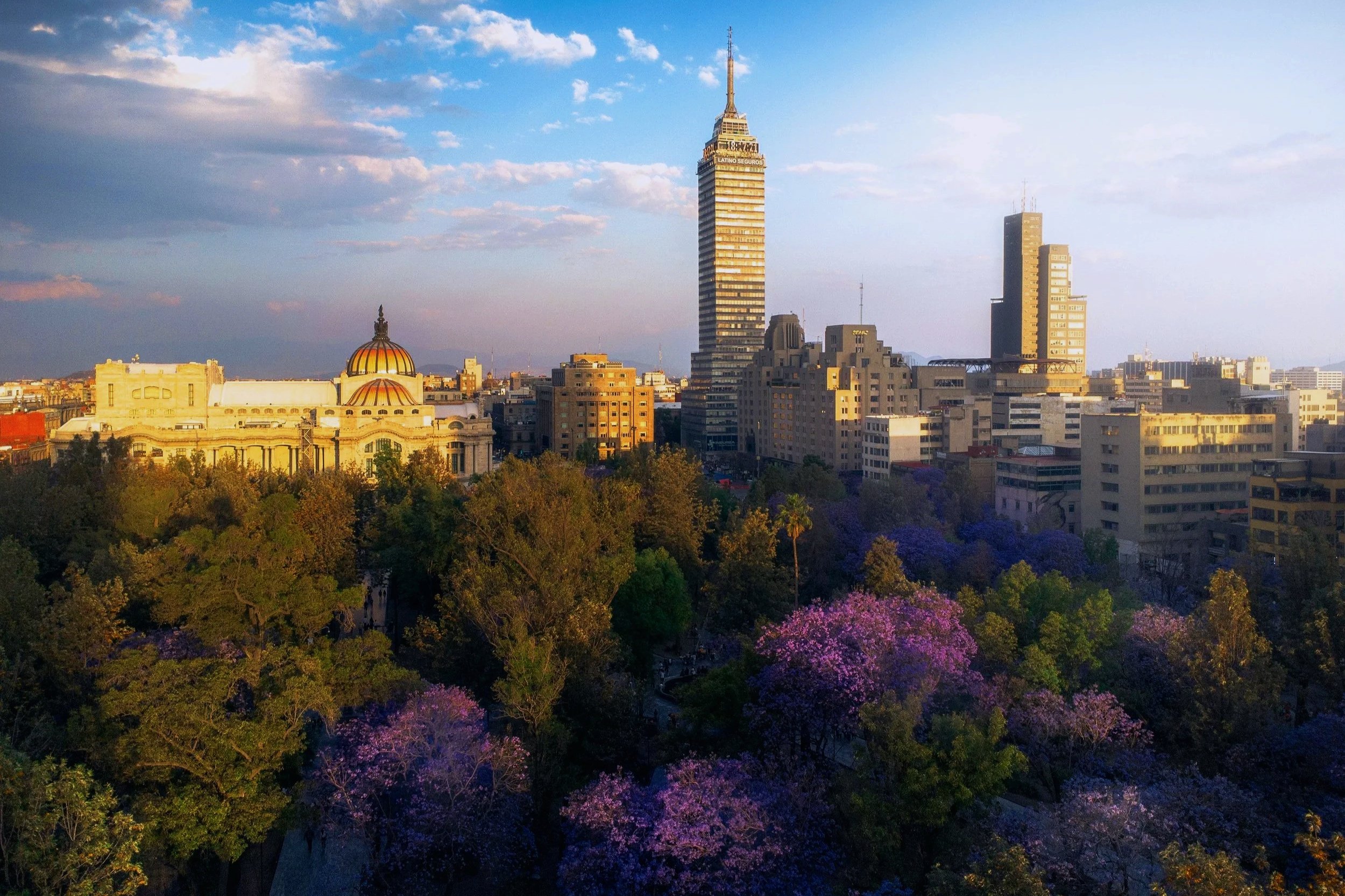 Mexiko Stadt Landschaft von oben, Torre Latino Americana, Bellas Artes, Bäume mit Jacarandas