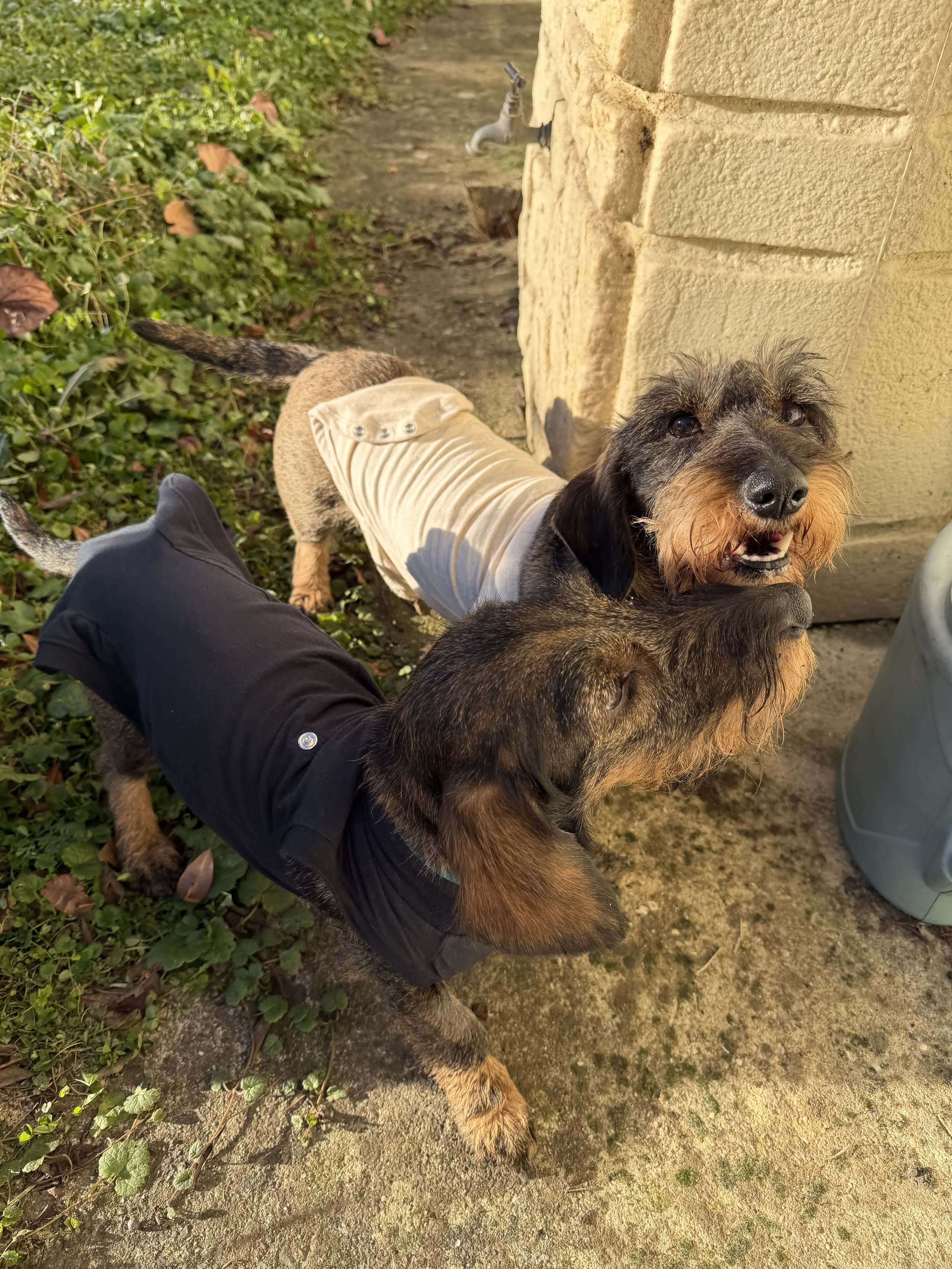 Kony la maman & Valmy sa fille.
Le dup inséparable