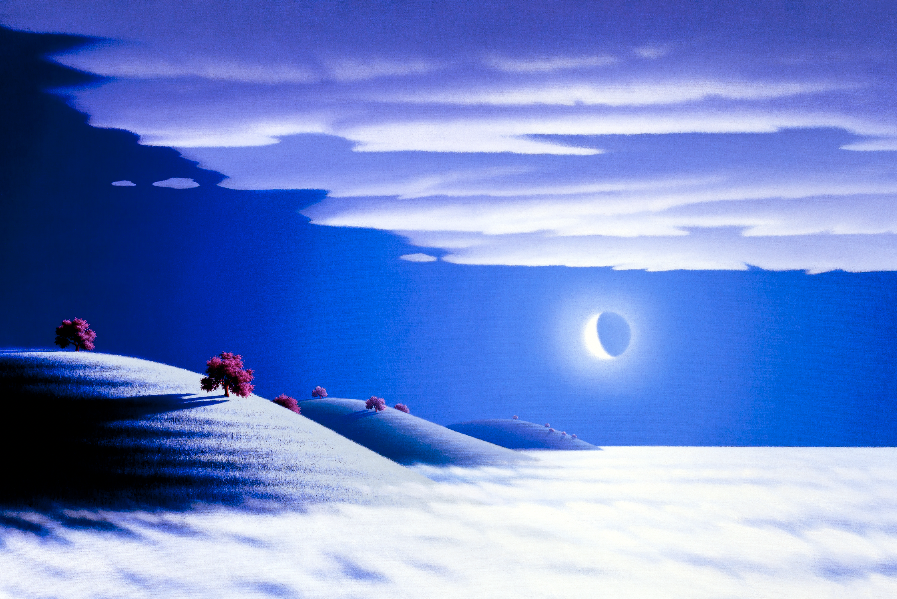 Screen Shot 2026-02-10 at 1.53.24 PM.png