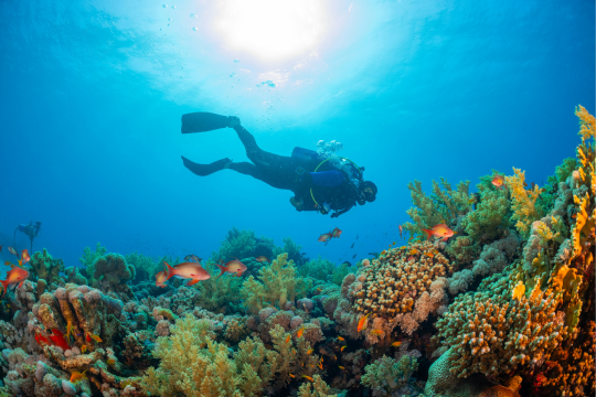 Breadth May Get You Started, but Depth Builds a Sustainable Travel Business