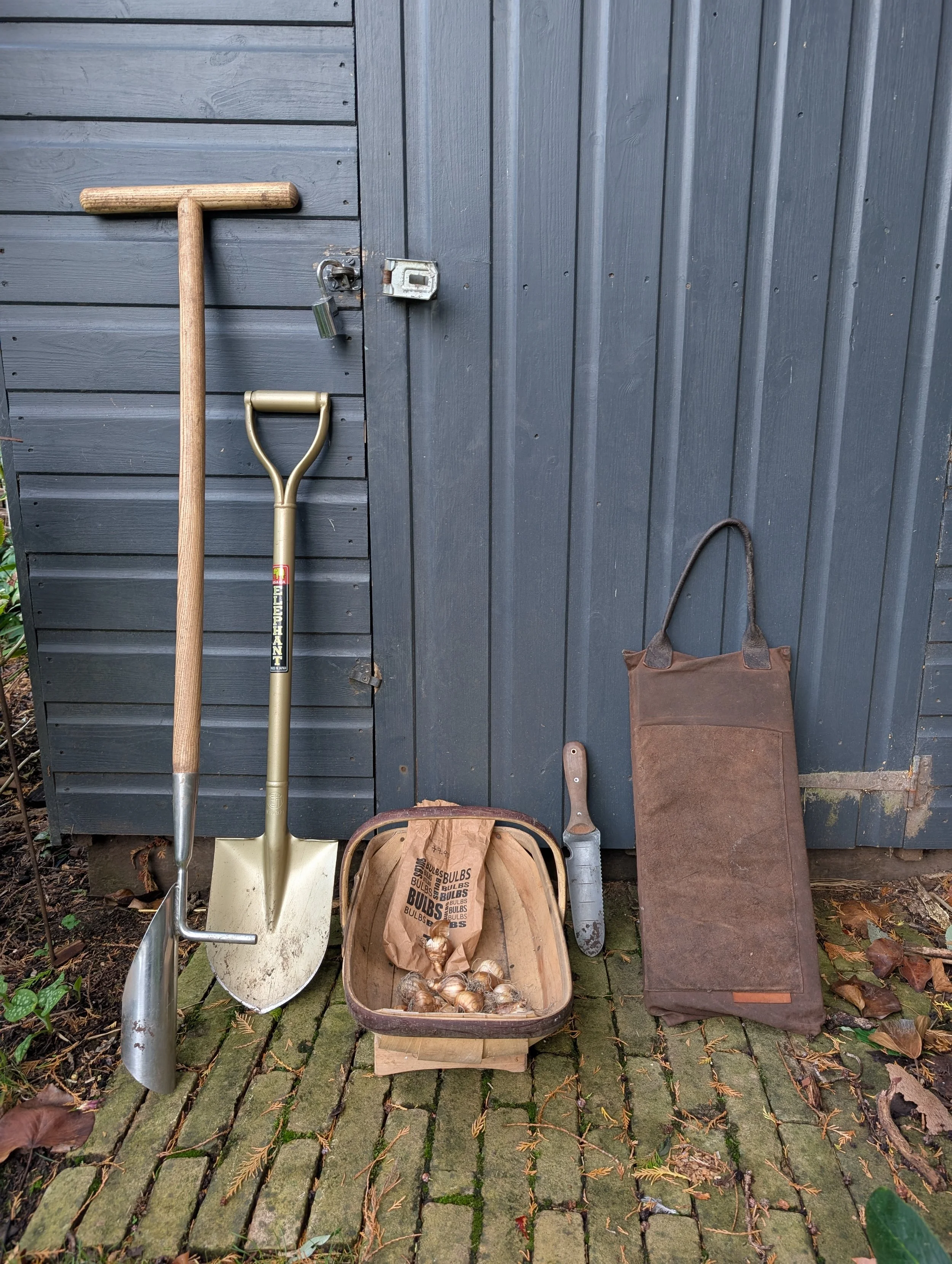 Garden tools ideal of bulb planting
