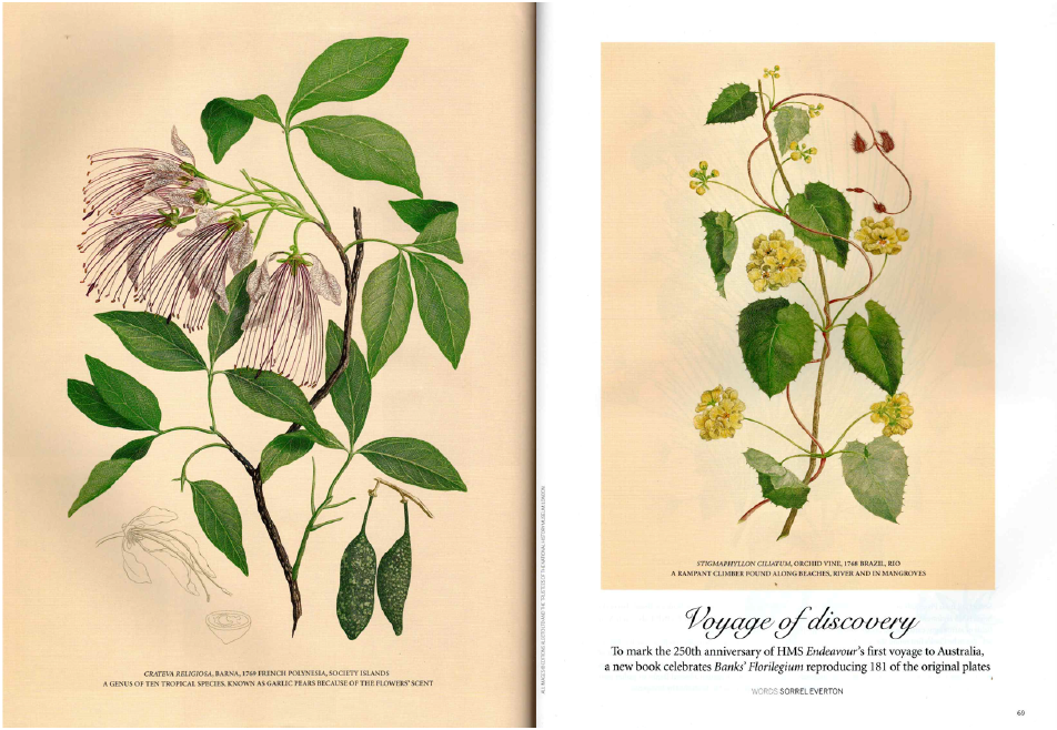 Gardens Illustrated