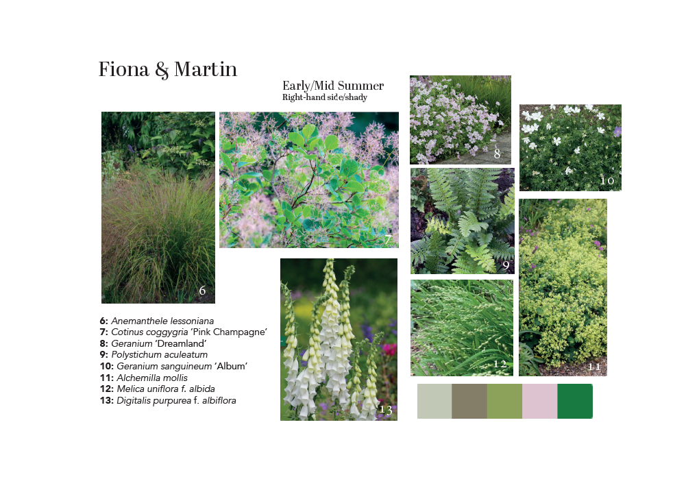Planting palette for shady site