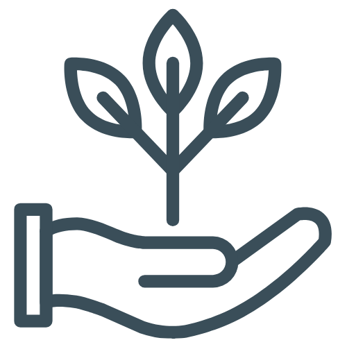 A hand gently holding a sprouting plant with three leaves, symbolizing growth and environmental care.