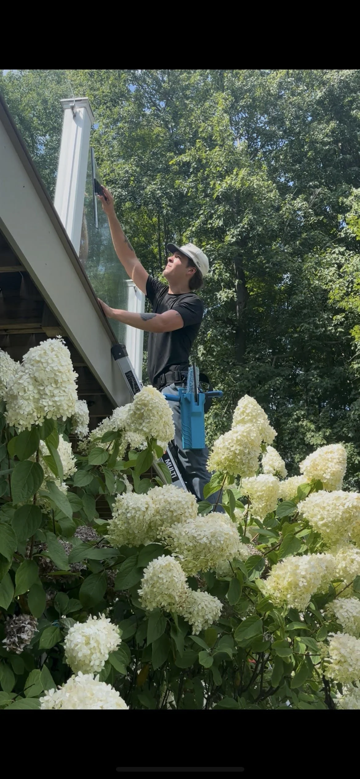 Panther Pro Cleaning washing a window outdoors surrounded by lush green trees and white hydrangea flowers.