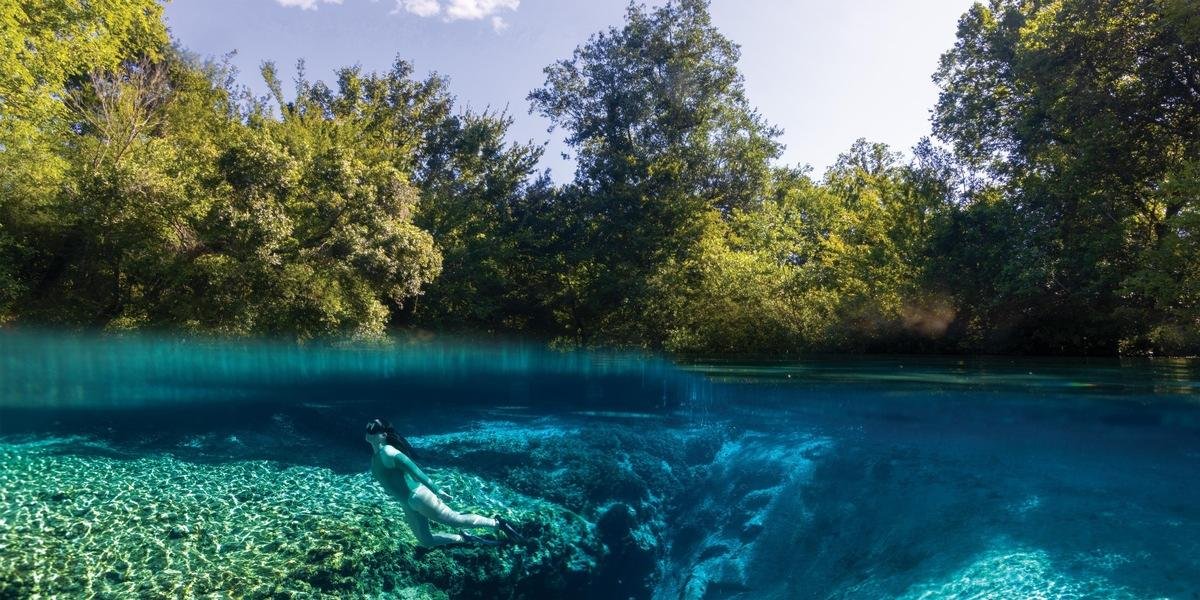 The Ultimate Guide to Snorkelling Florida Springs