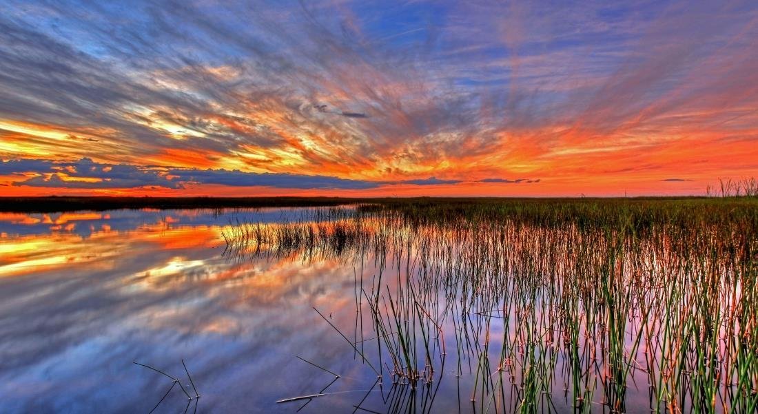 Florida’s Unexpected GeographySinkholes, Springs, 