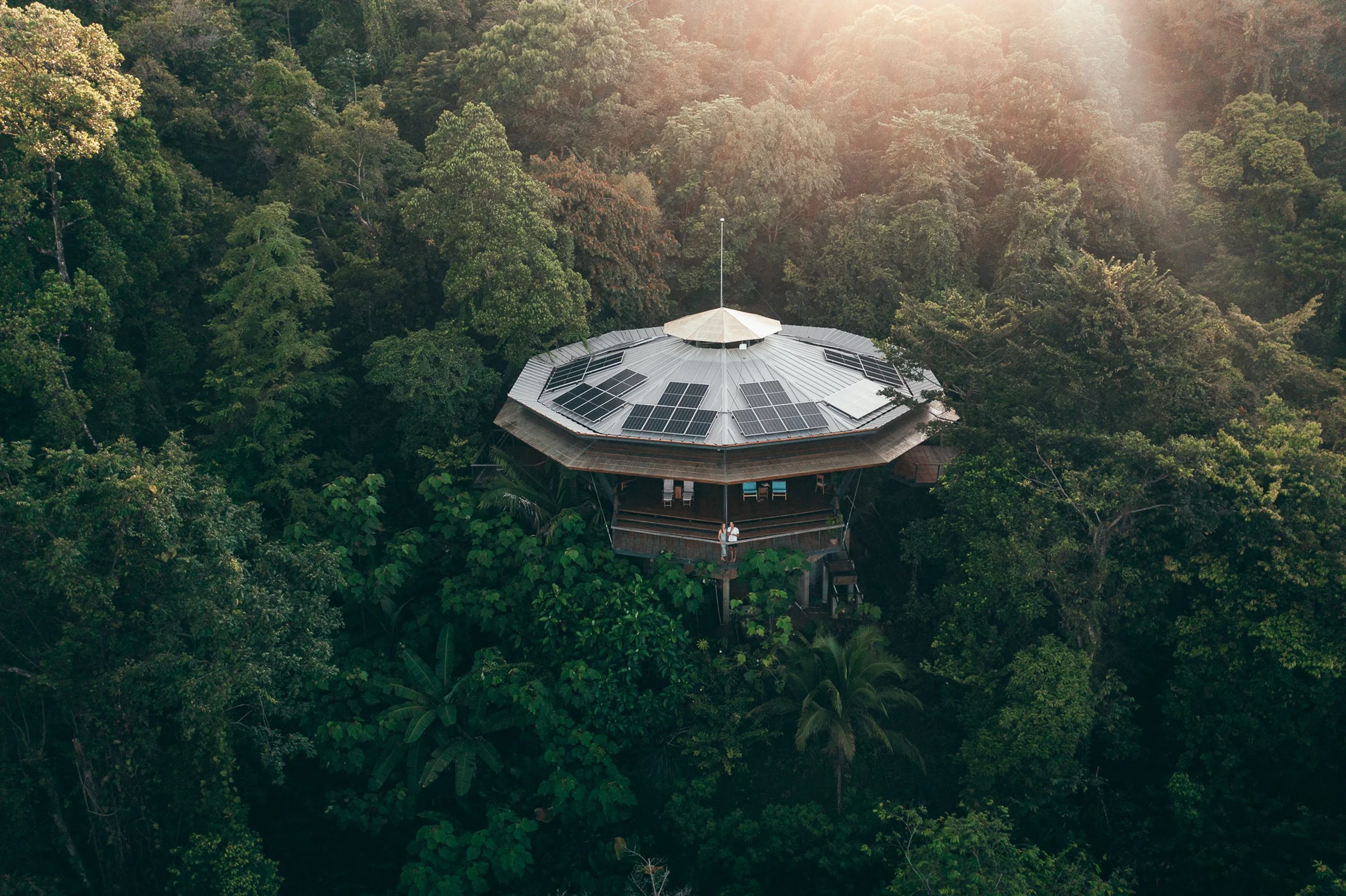 A treehouse with a metal roof and solar panels, surrounded by a dense green forest, with sunlight shining through the trees.