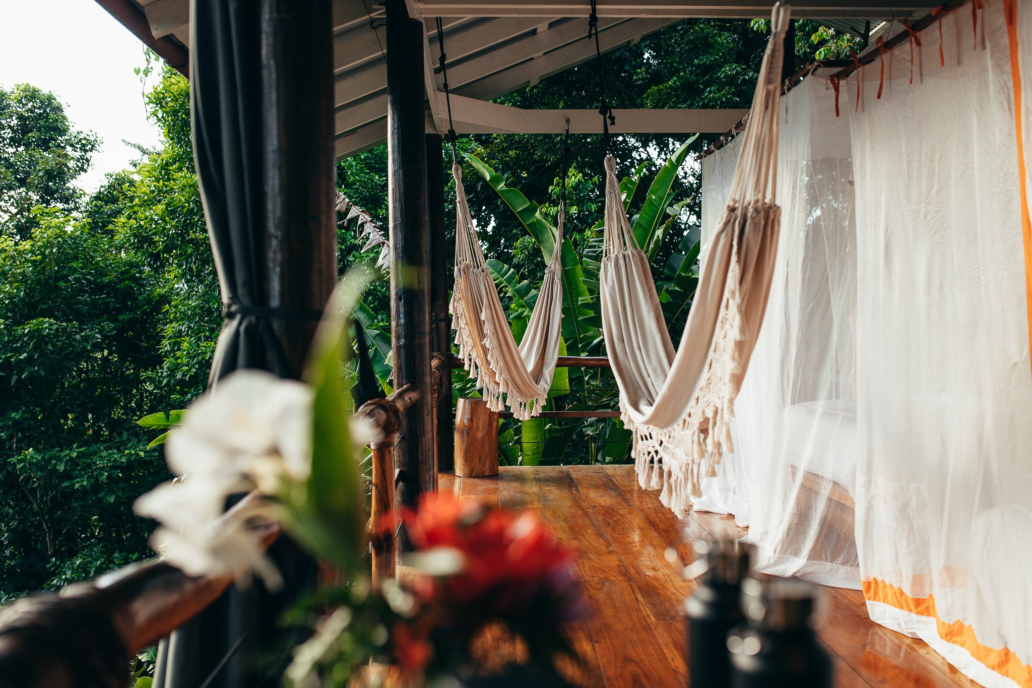 Hammocks hanging on a porch surrounded by lush green tropical plants.