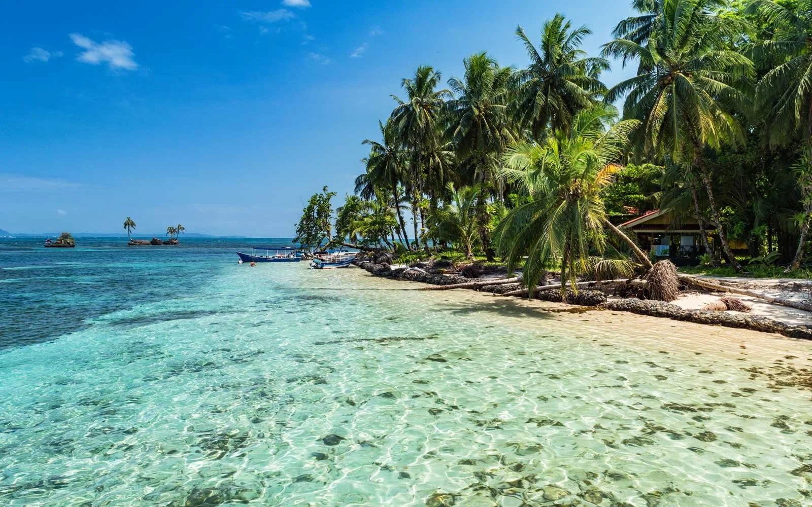 Tropical beach with clear turquoise water, sandy shoreline, green palm trees, and boats in the distance under a blue sky.