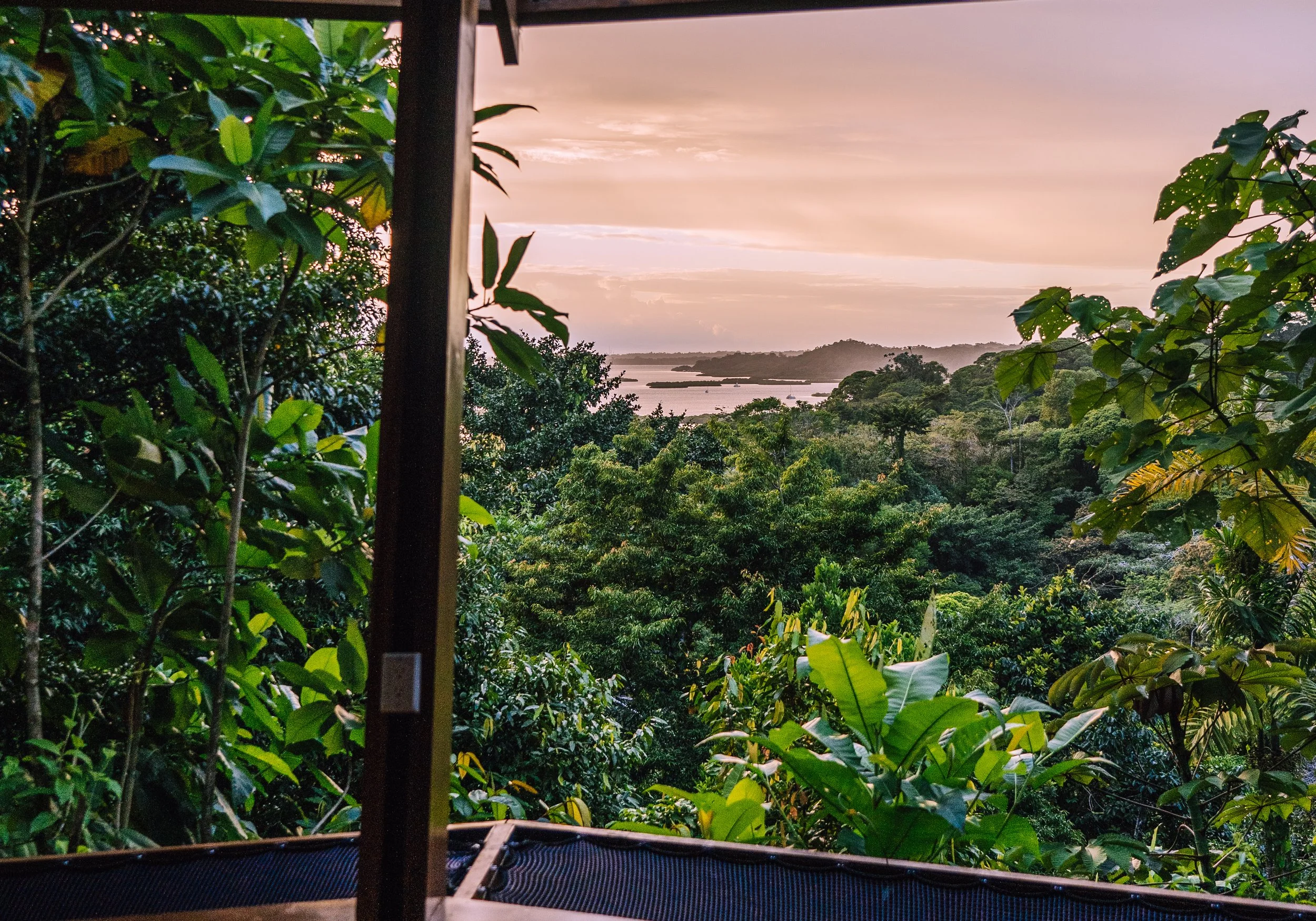 A view from a balcony overlooking a lush, green tropical forest with a body of water and hills in the distance during sunset.