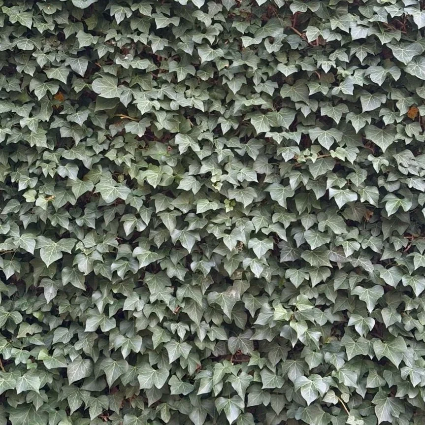 vacature-apotheker-gezocht