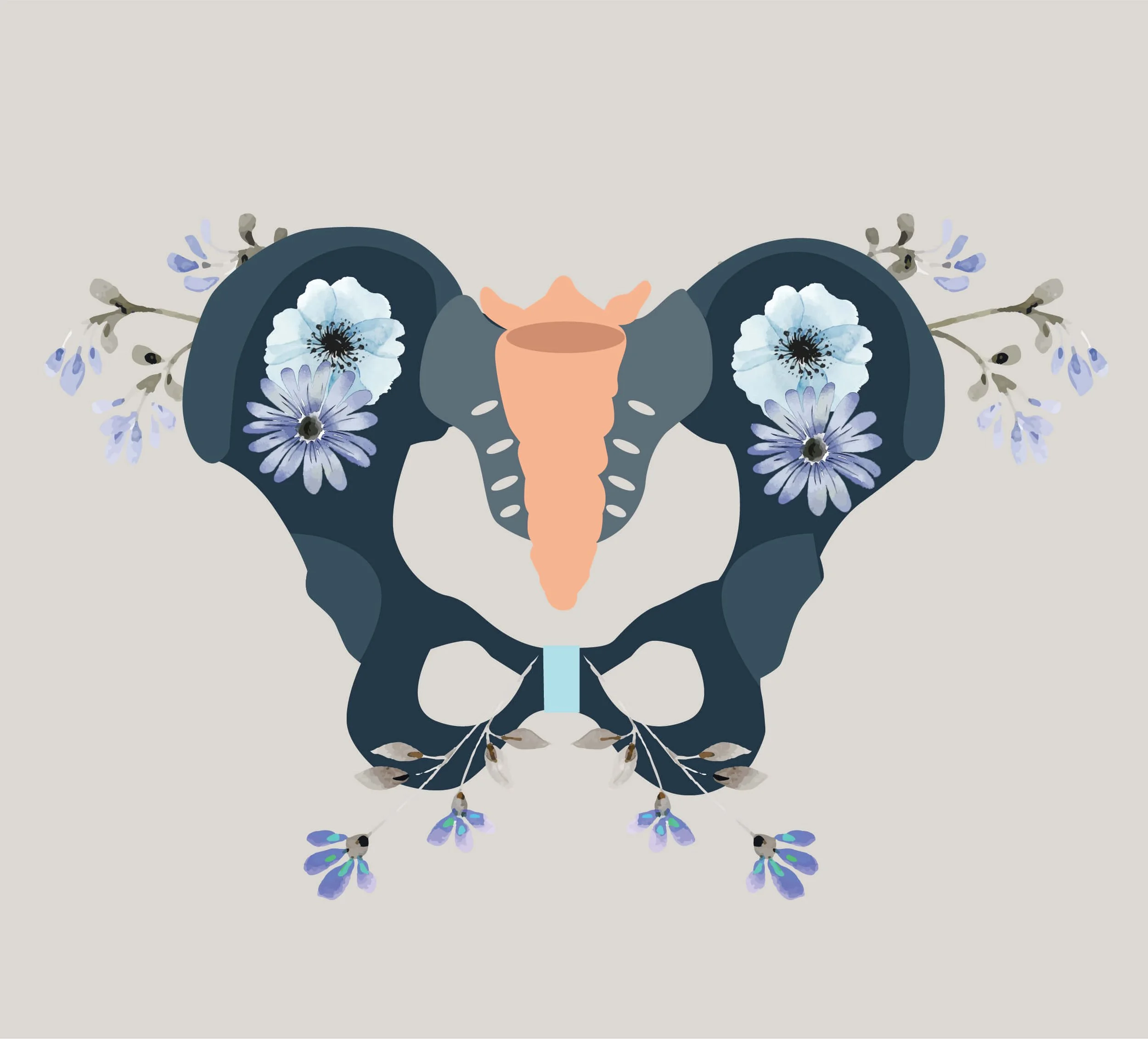 What is the Pelvic Floor?