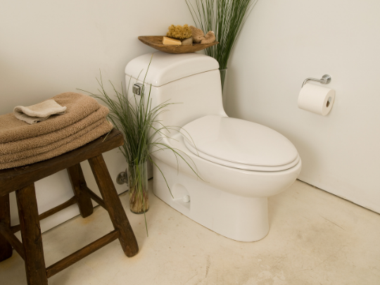 Urinary Tract Fistulas