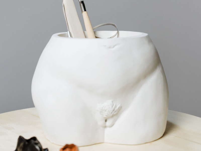 Anatomy of Your Pelvic Floor