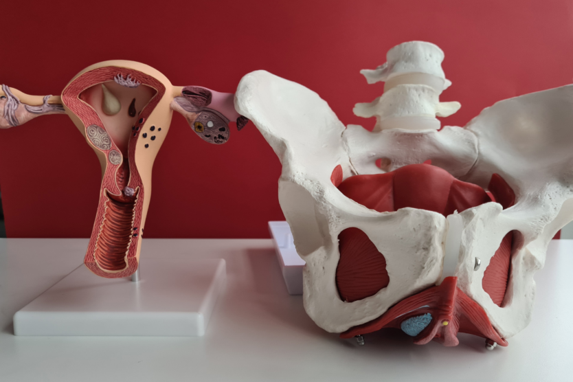 All About Levator Ani Syndrome