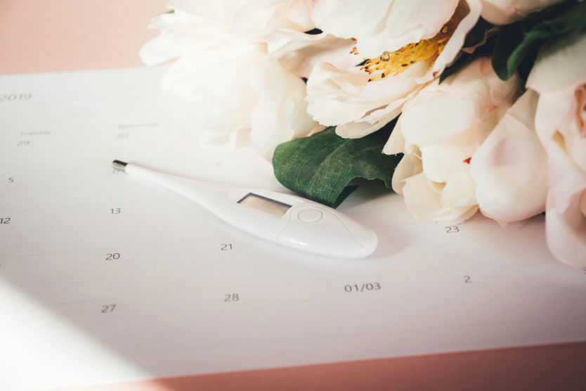 Can You Ovulate Without A Period?