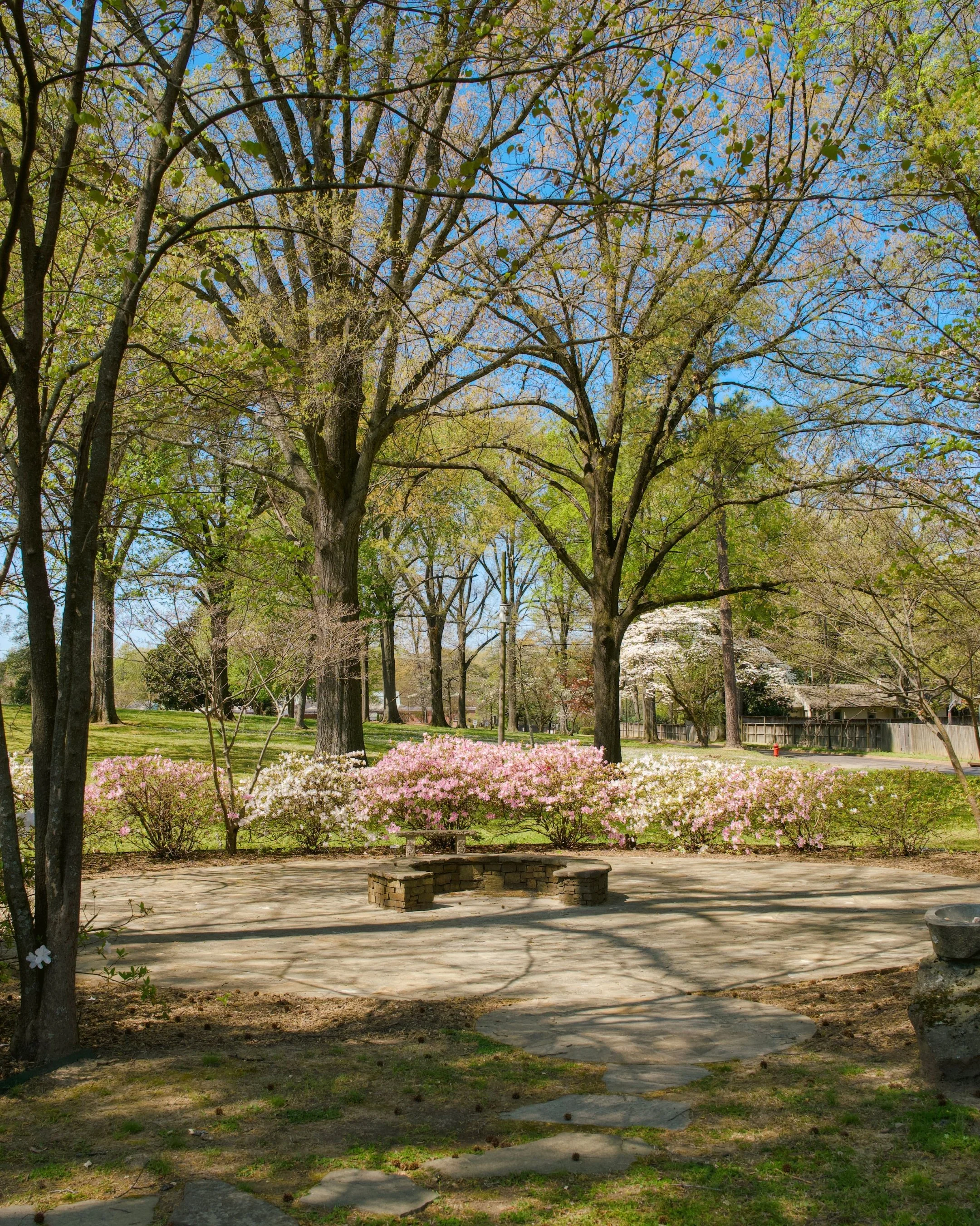 Park with large trees, blooming bushes, and a stone bench on a paved area under cloudy sky.