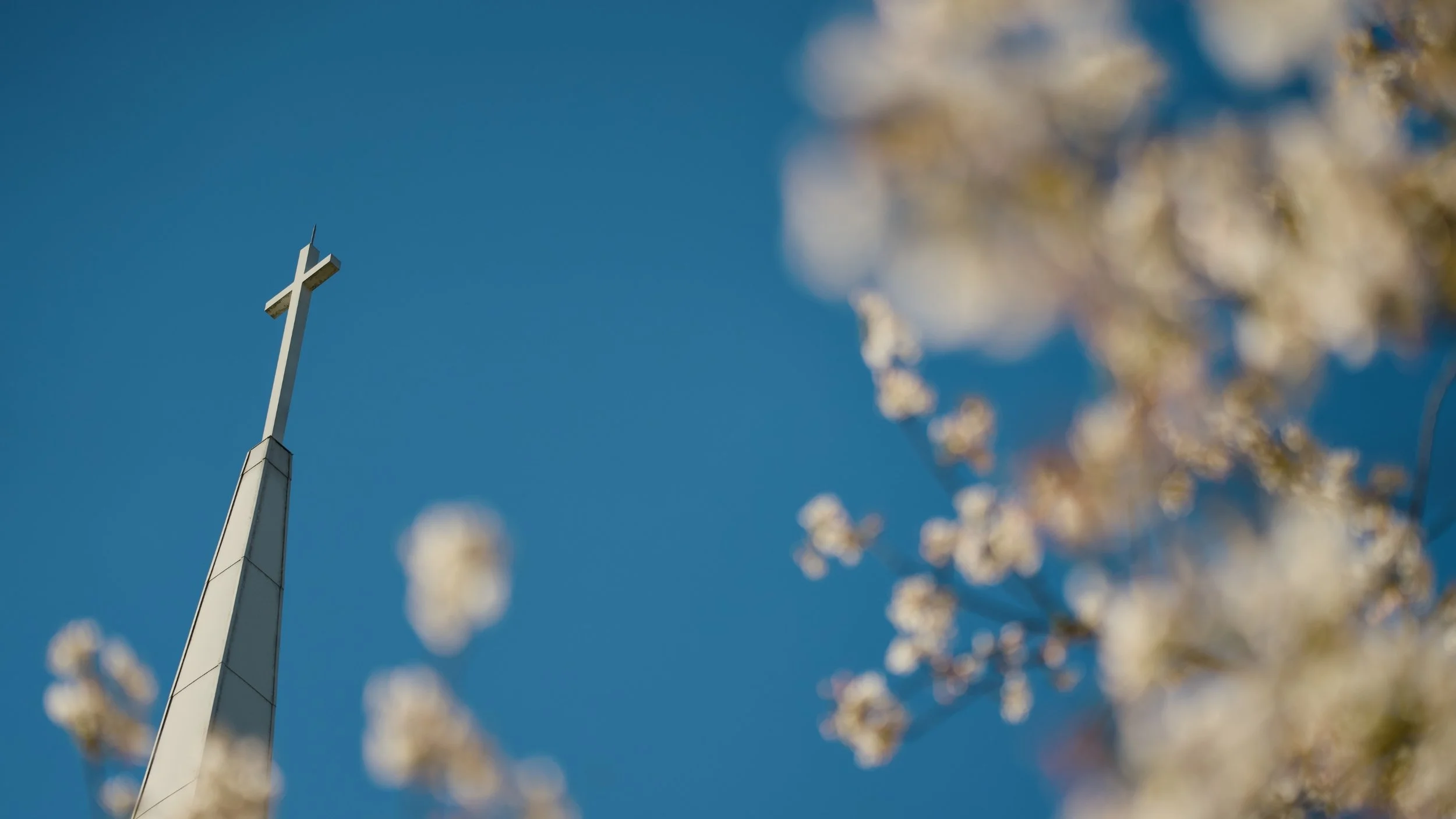 2nd Baptist Church East Memphis.jpg