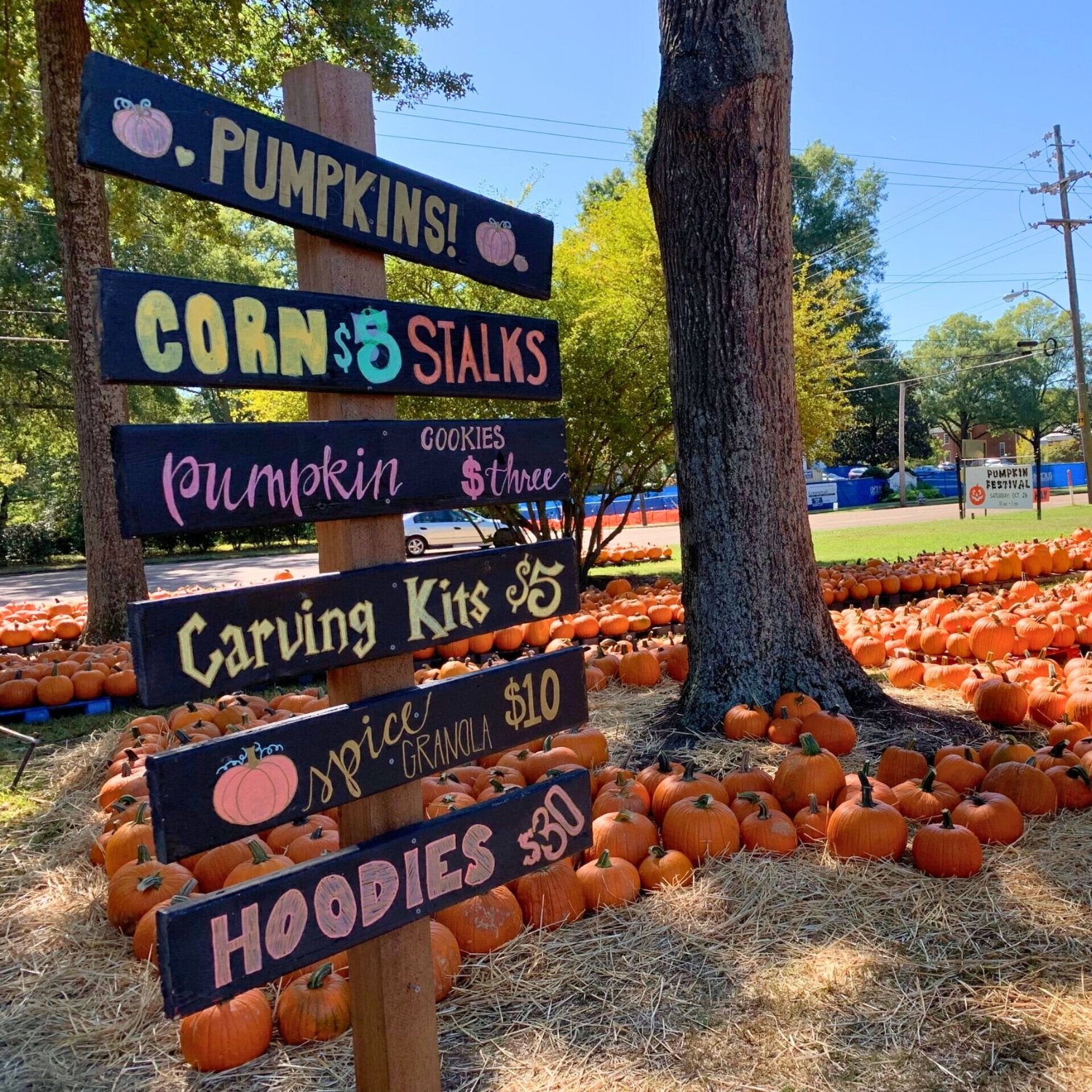 A colorful signboard listing pumpkin-related items and prices at a pumpkin festival, with pumpkins spread out on the ground and a tree, in a park-like setting.