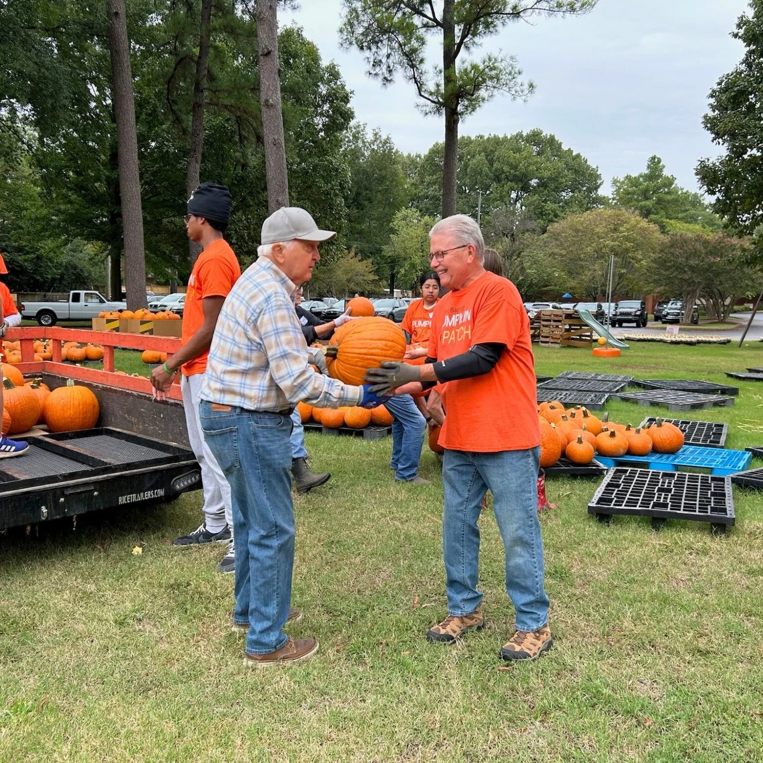 A man in a plaid shirt receiving a pumpkin from another man wearing an orange shirt at a pumpkin patch. Other people and pumpkins are visible in the background.