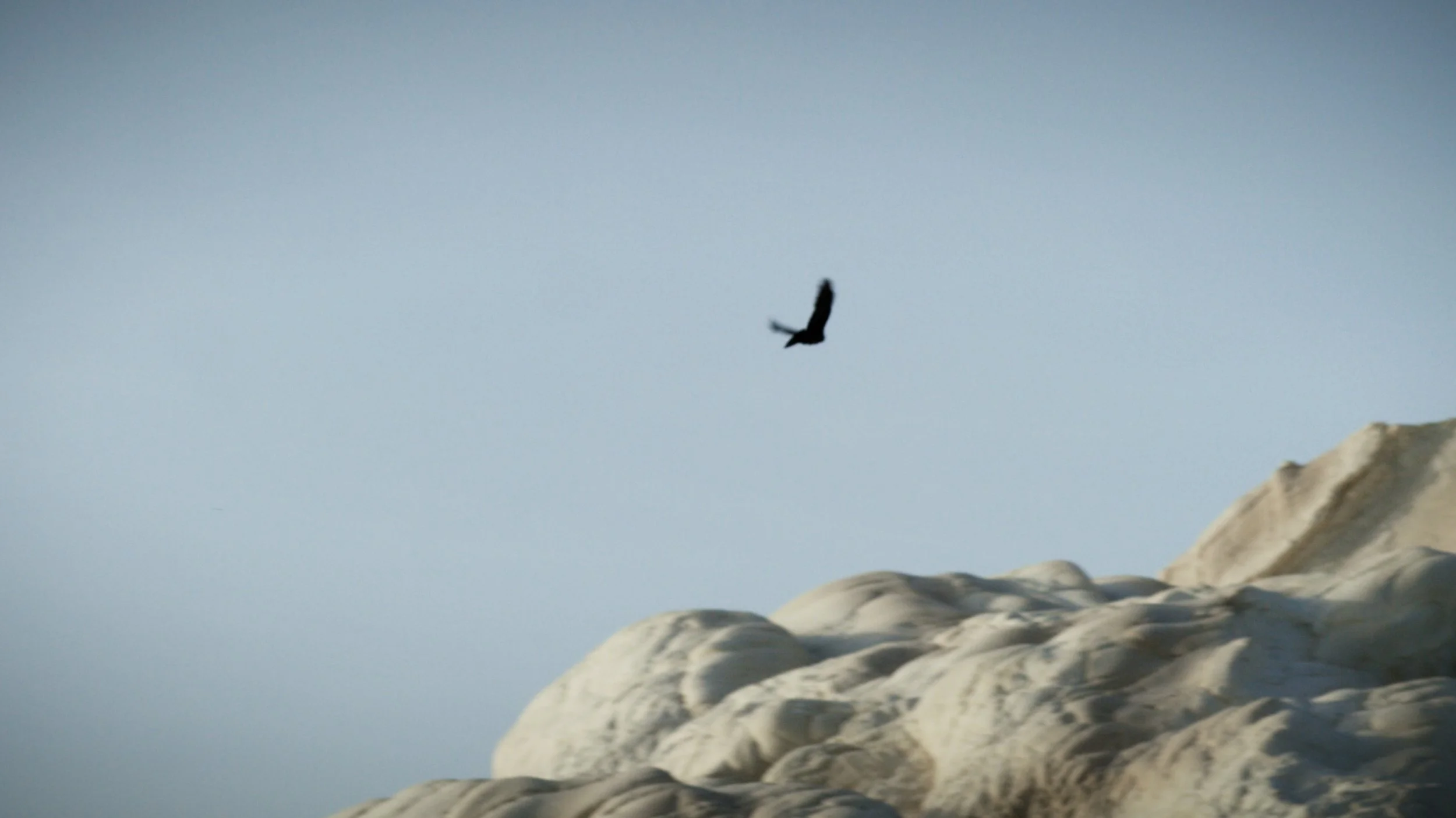 Social Spots V2 Kopieren 01.00_00_42_05.Standbild012.jpg