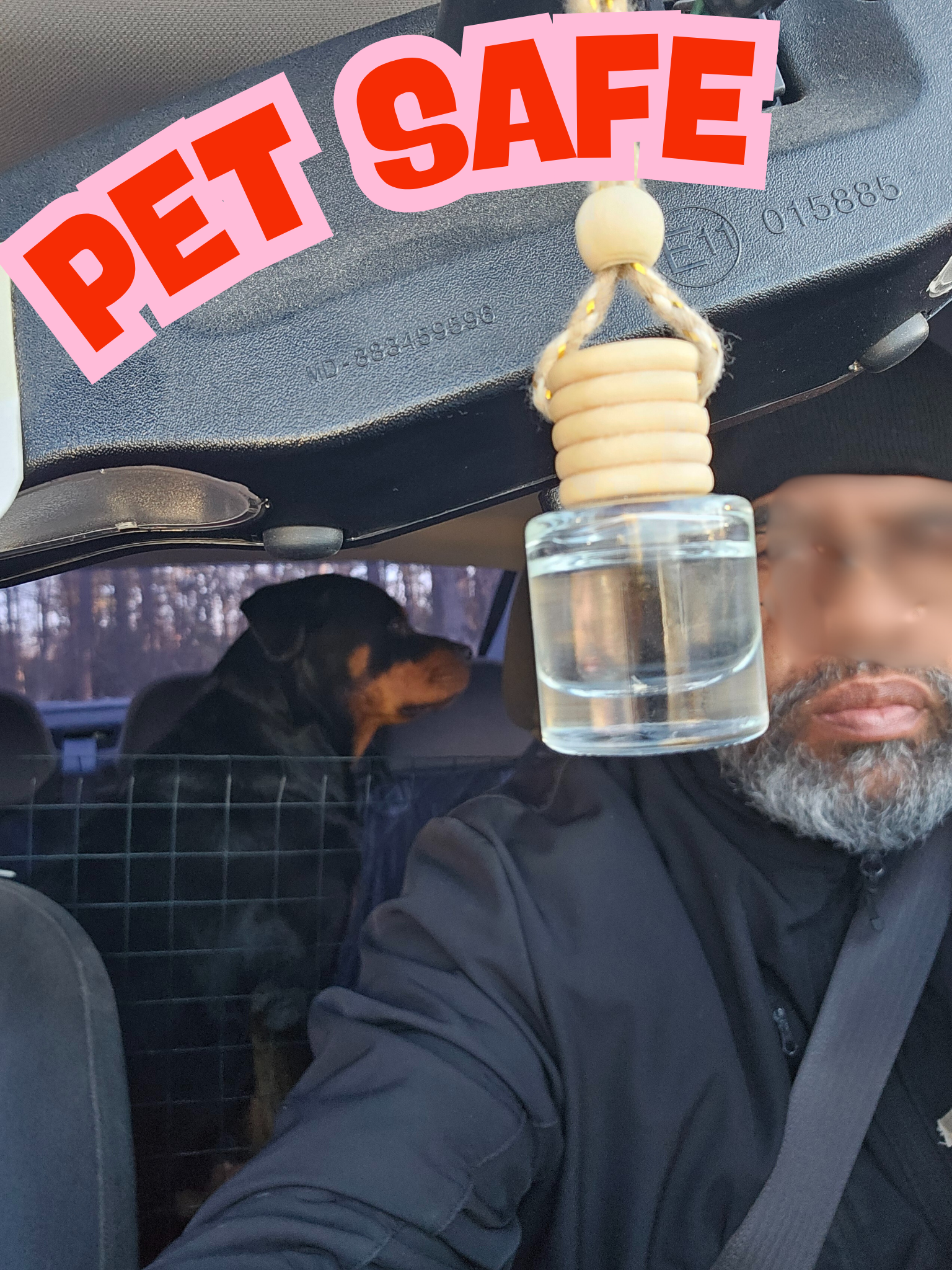 PET SAFE.png