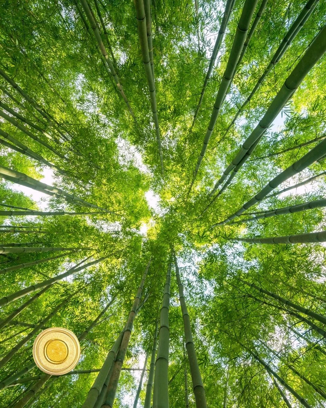 Breathwork: April 13 · 1 - 2:30 PM