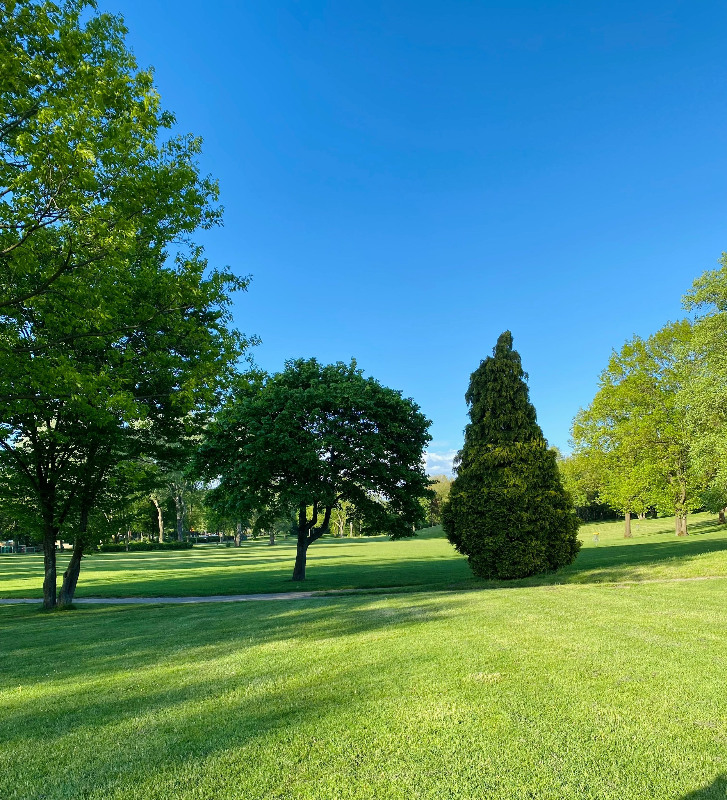A peaceful park scene with green grass, various trees, and a clear blue sky.
