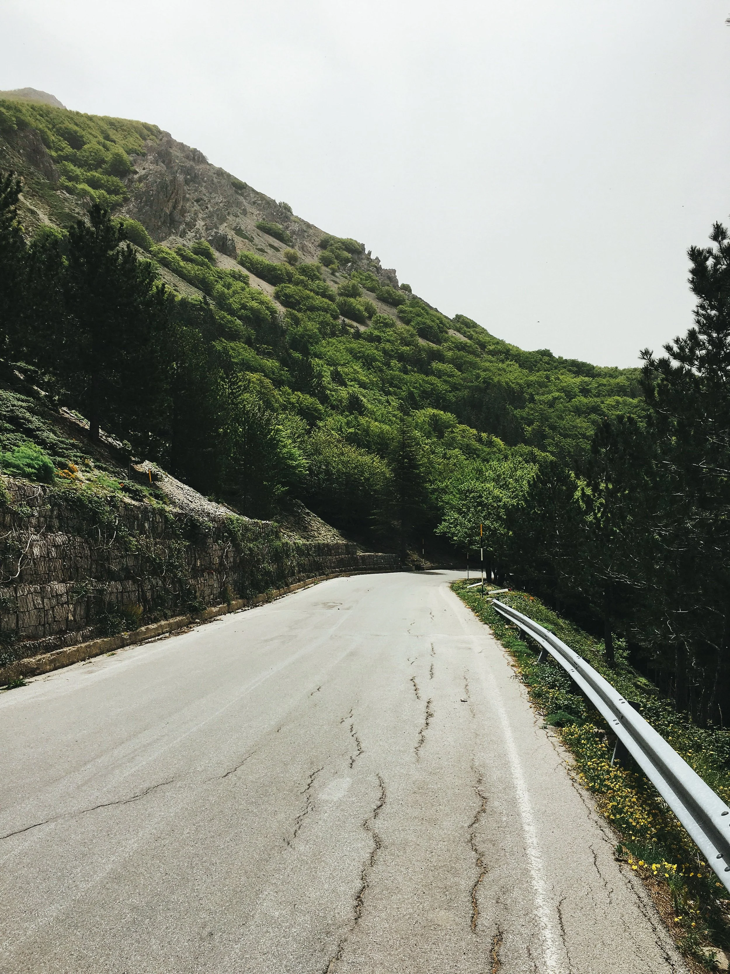 Route déserte dans un paysage de montagne verte
