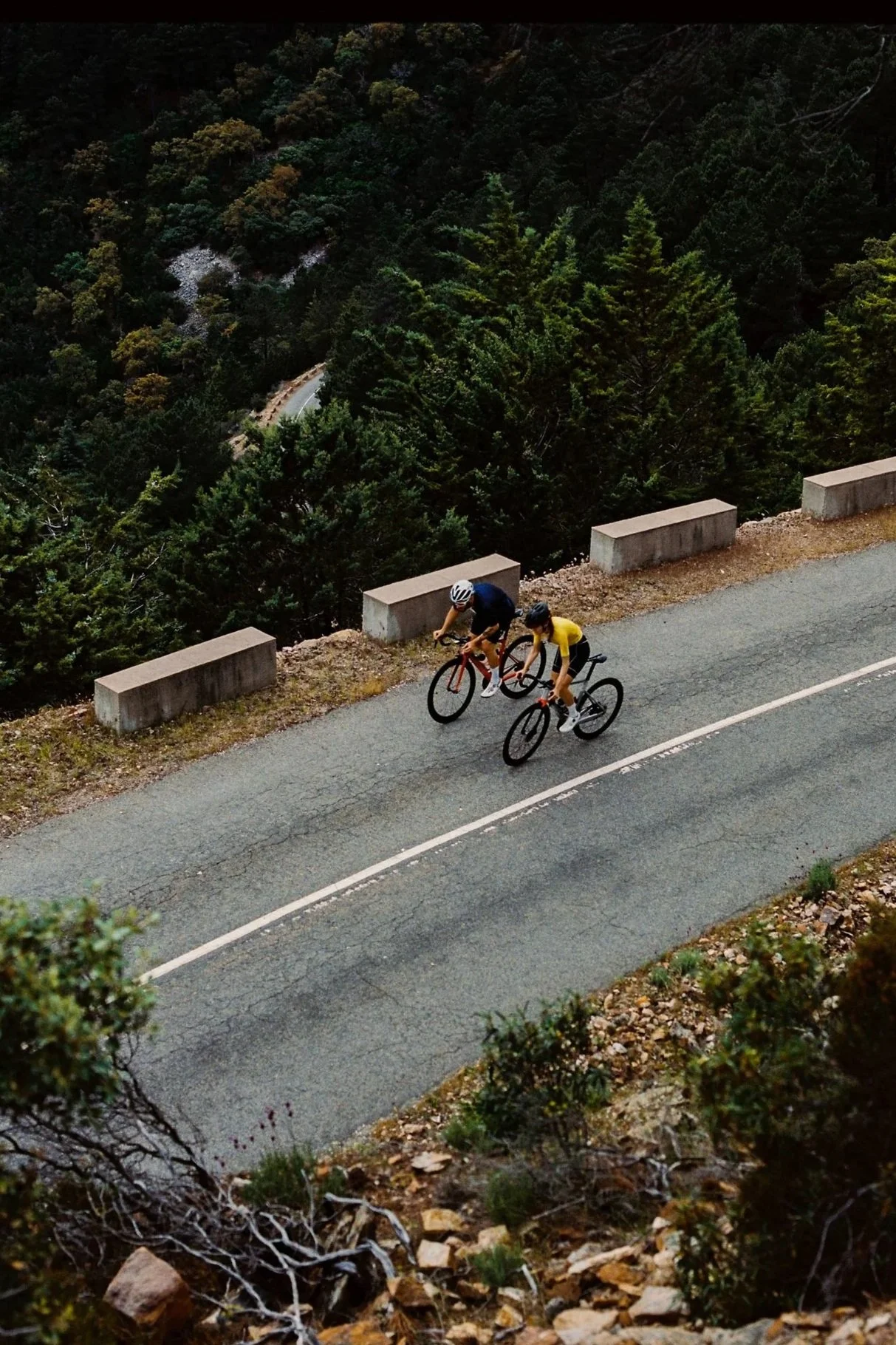 Cyclisme et nature : deux cyclistes sur route