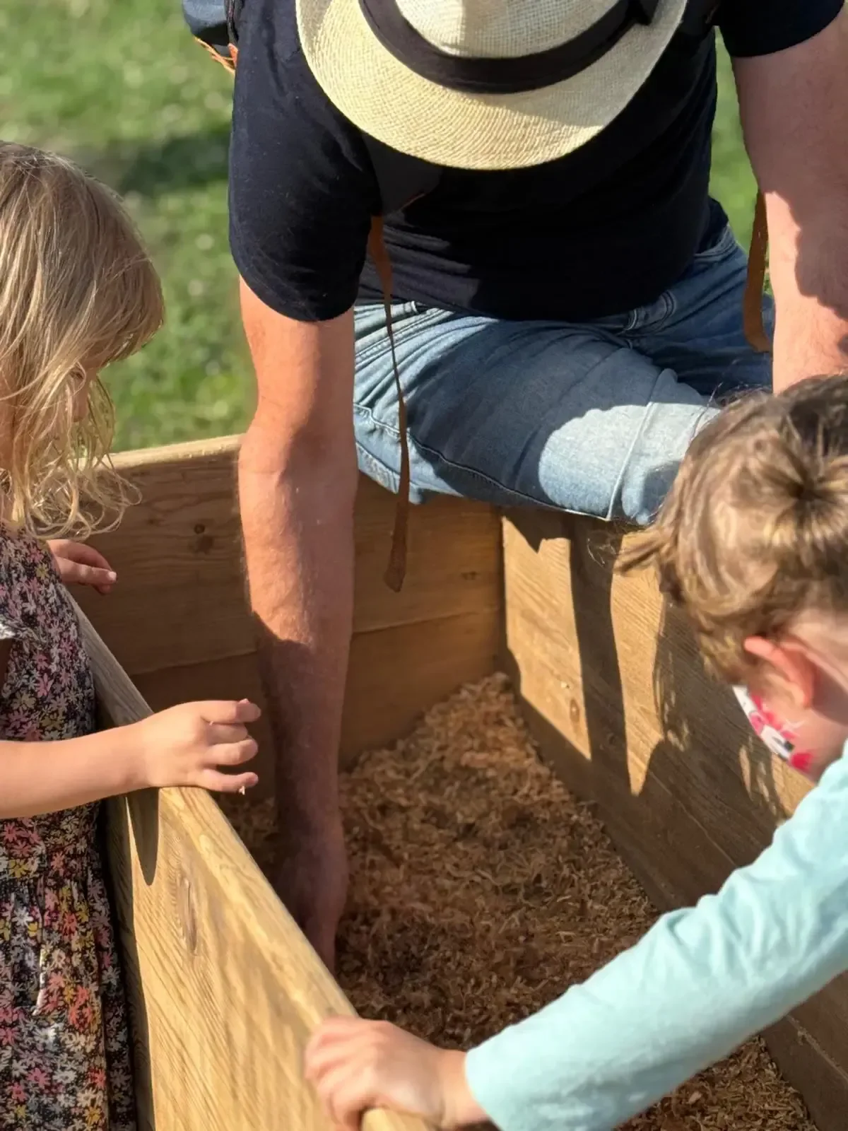 Children and an adult pet a pig inside a wooden pen on a farm, with green grass in the background.