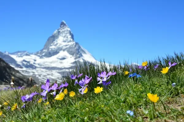 Valais montagne