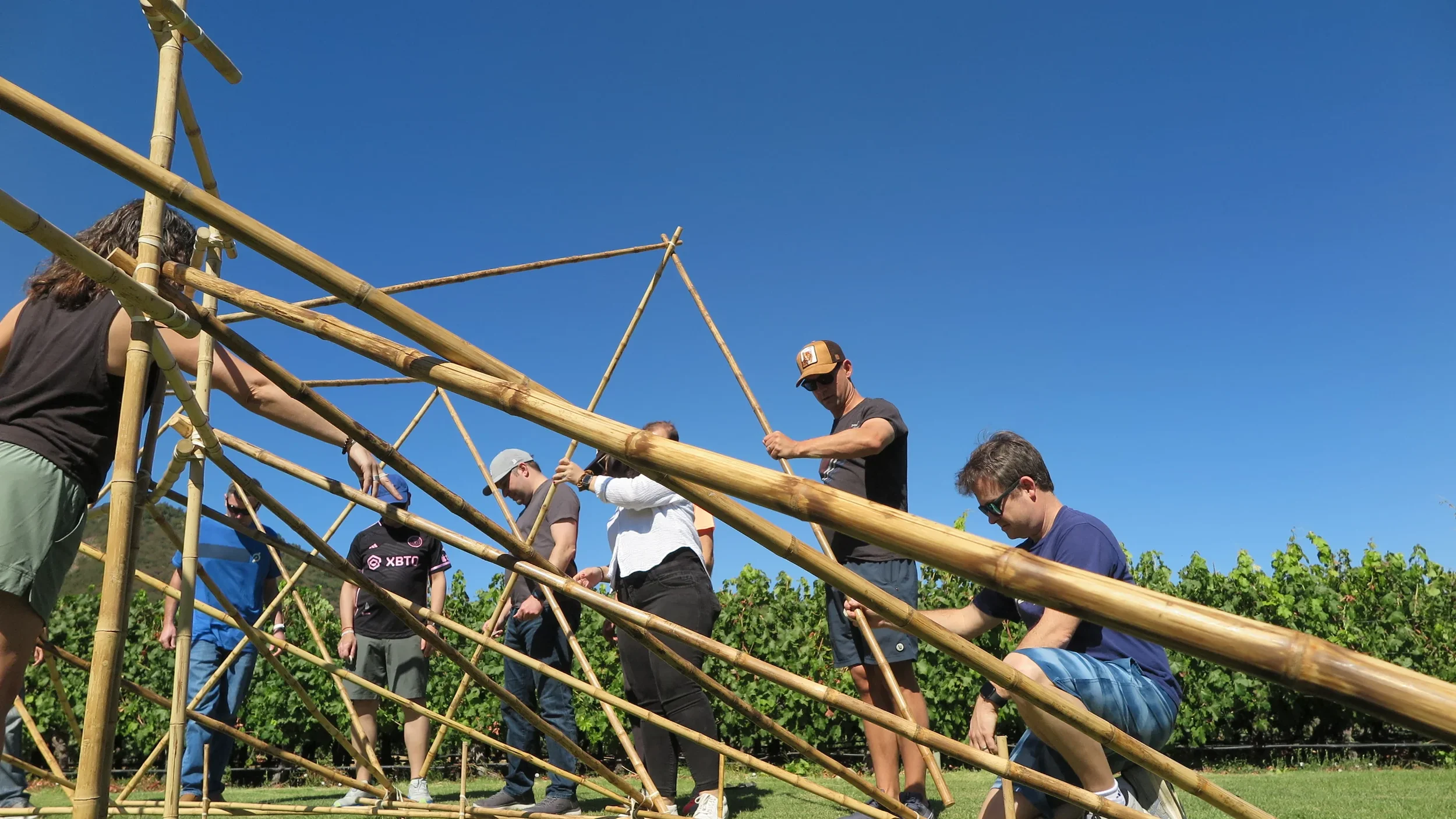 People working together to build a bamboo structure outdoors on a sunny day.