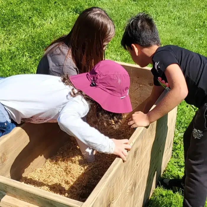 Enfants participent à une activité ludique de découverte dans un bac sensoriel lors d’un événement.