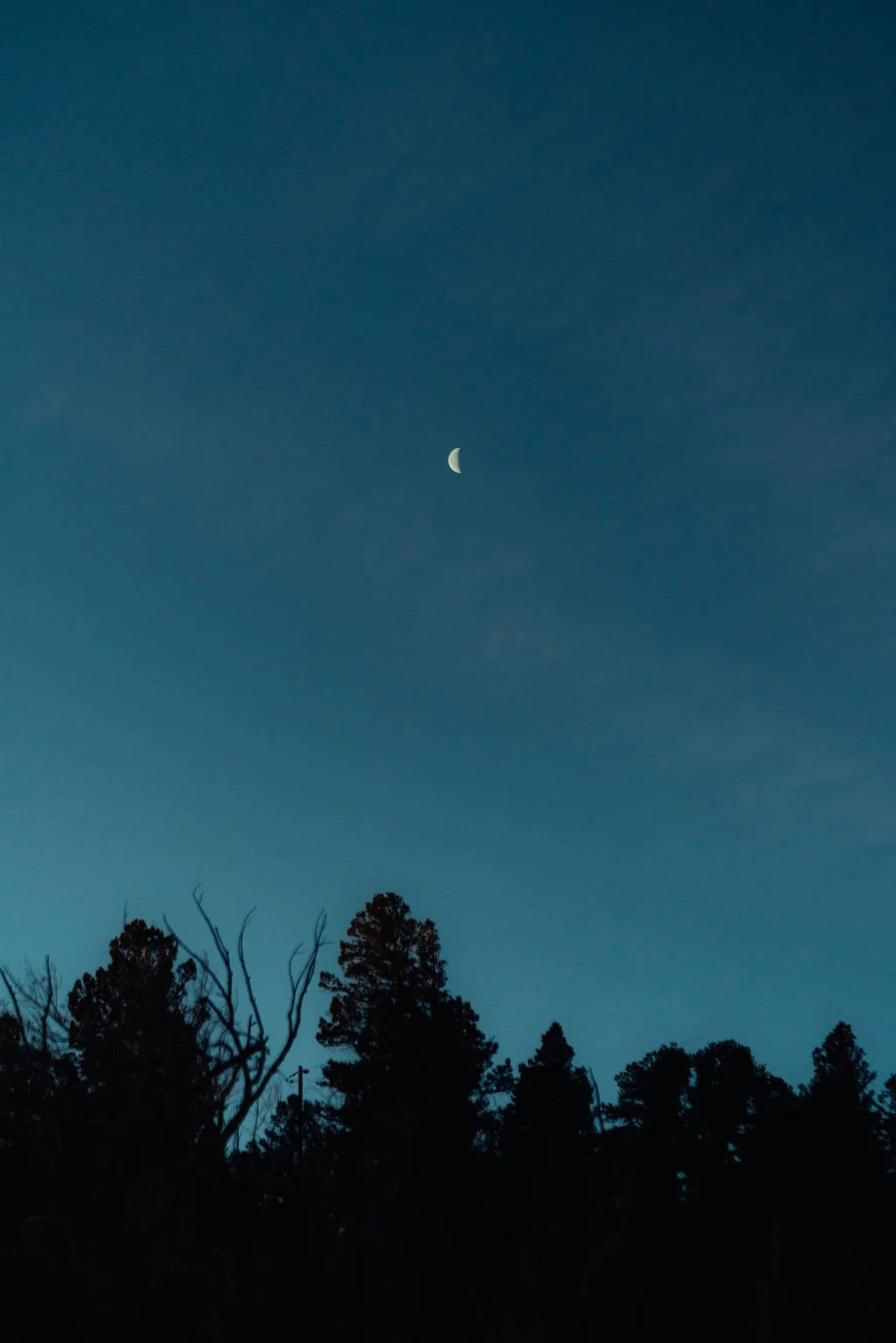 Night sky with a waxing crescent moon above trees.