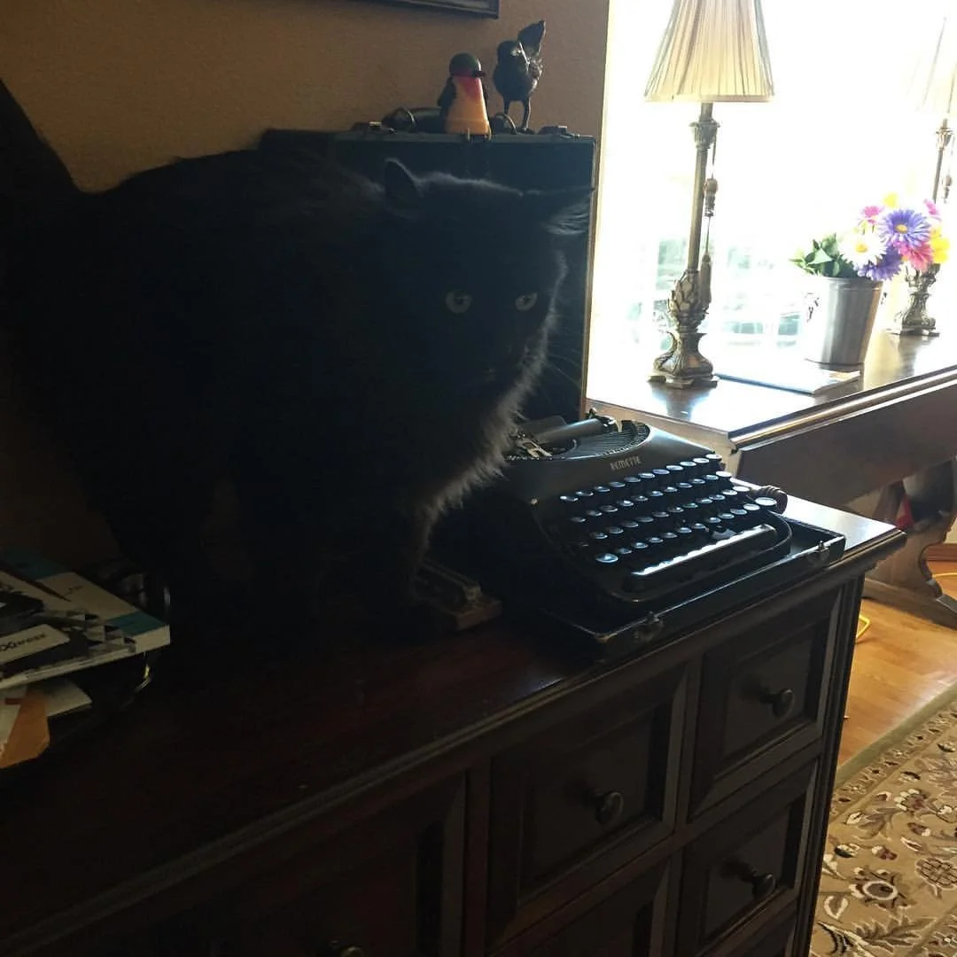 A black cat sitting on a wooden desk next to a vintage typewriter, with a window and bouquet of colorful flowers in a metal vase in the background.