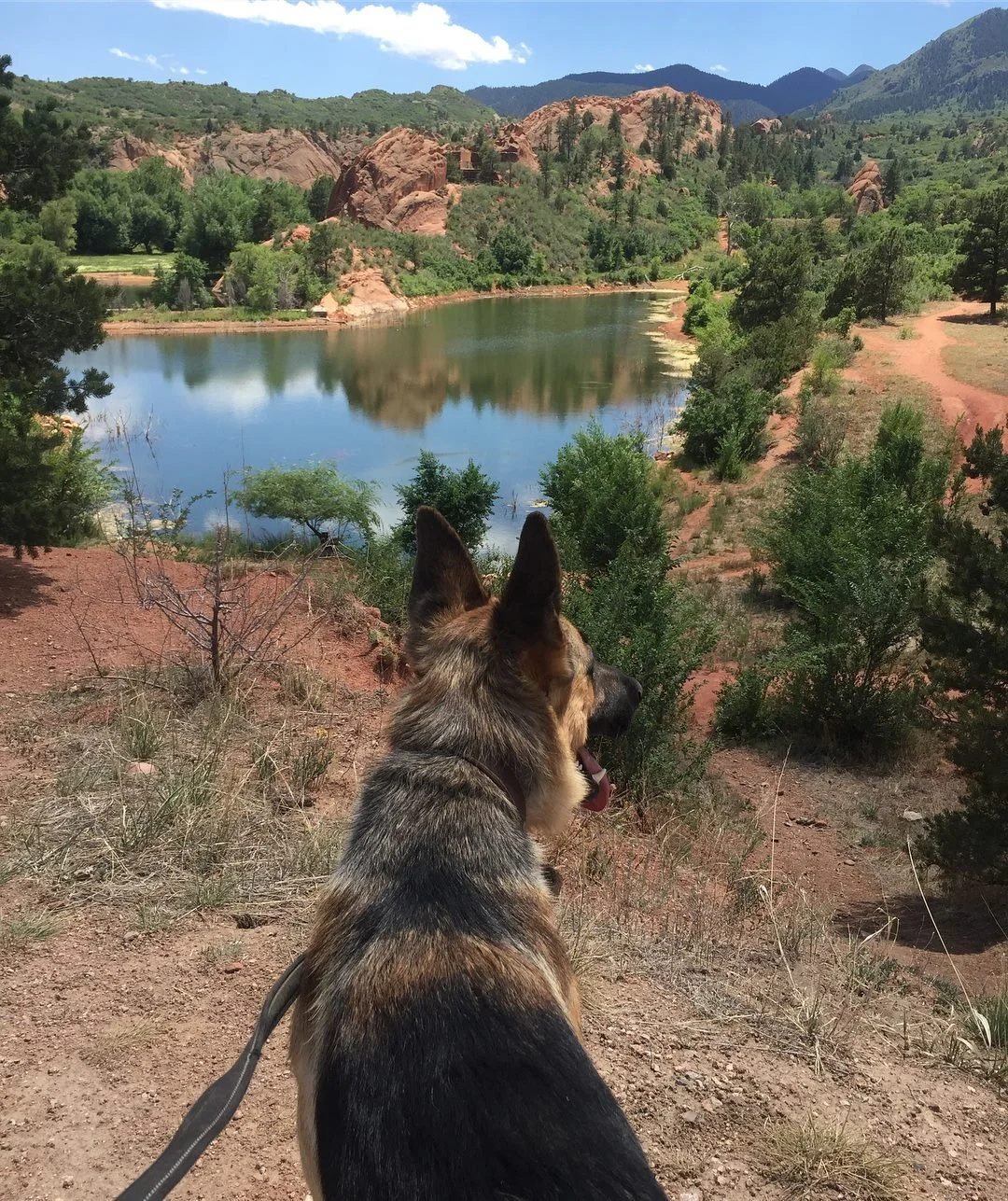 A dog sitting on a dirt trail overlooking a river, surrounded by green trees and reddish rocky hills with mountains in the background.