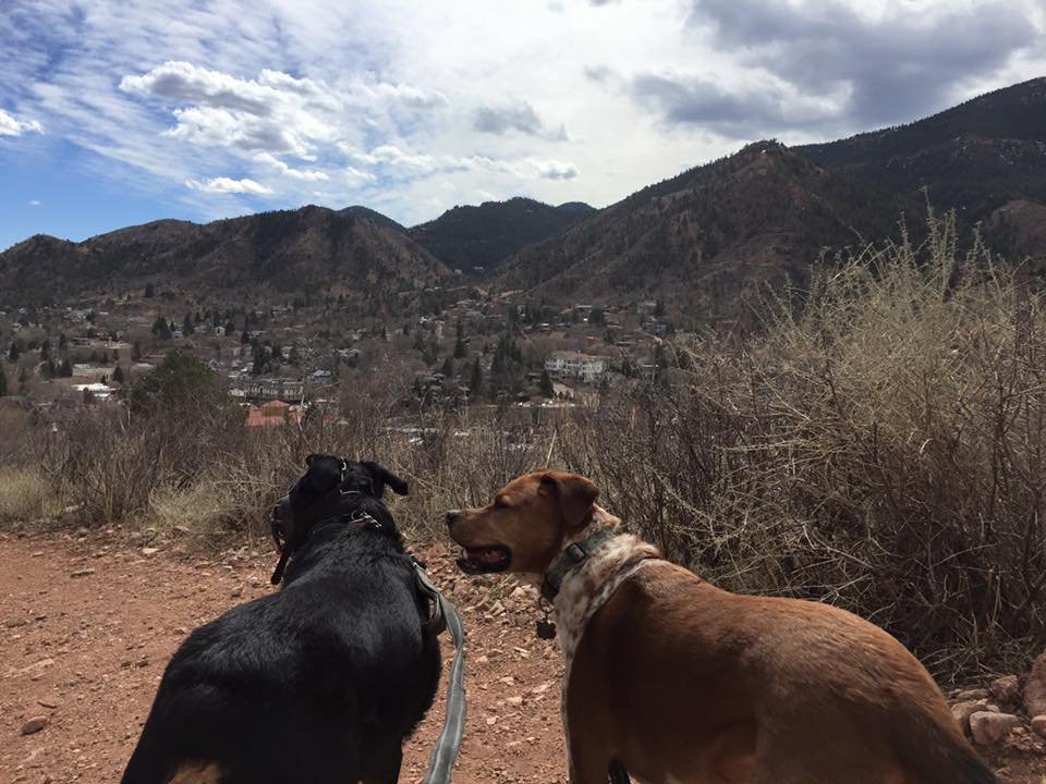 Two dogs sitting on a dirt trail overlooking a mountainous landscape with houses and trees, under a cloudy sky.