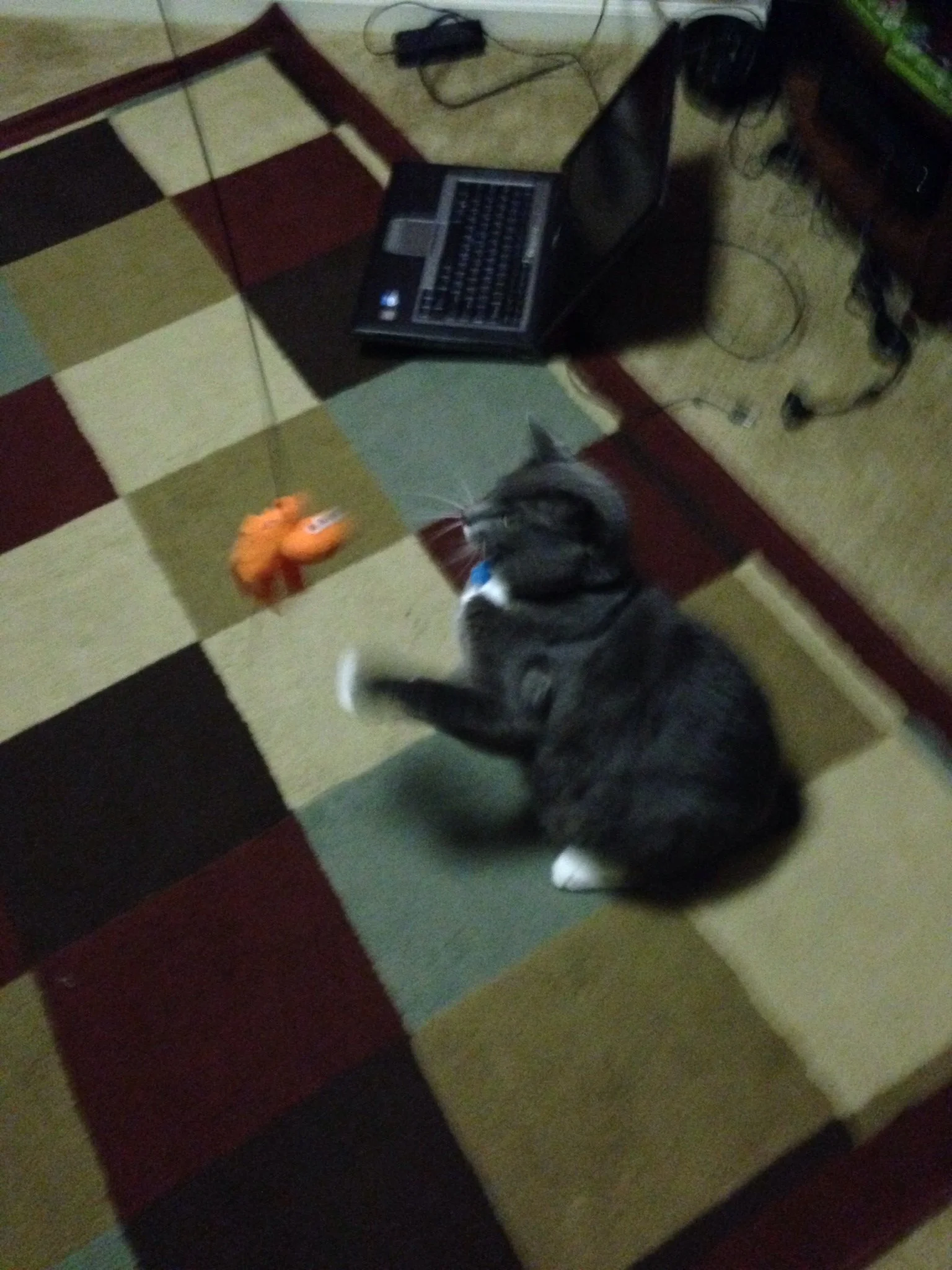 A tabby cat playing with an orange toy on a multicolored patchwork carpet in a living room with a laptop on the floor, surrounded by various electronic devices and cords.