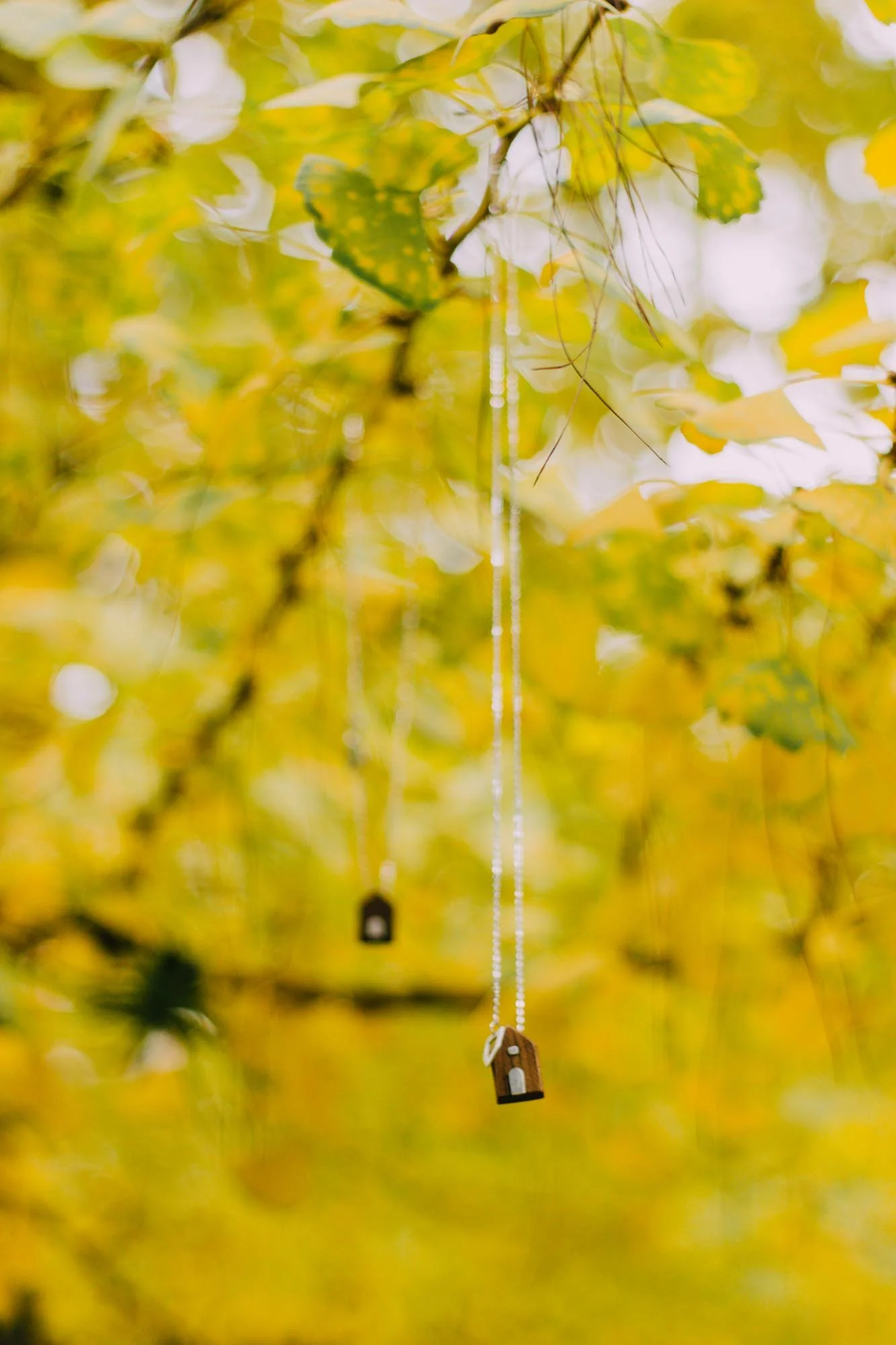 Three small hanging birdhouse decorations on chains in a tree with yellow and green leaves, sunlight filtering through.